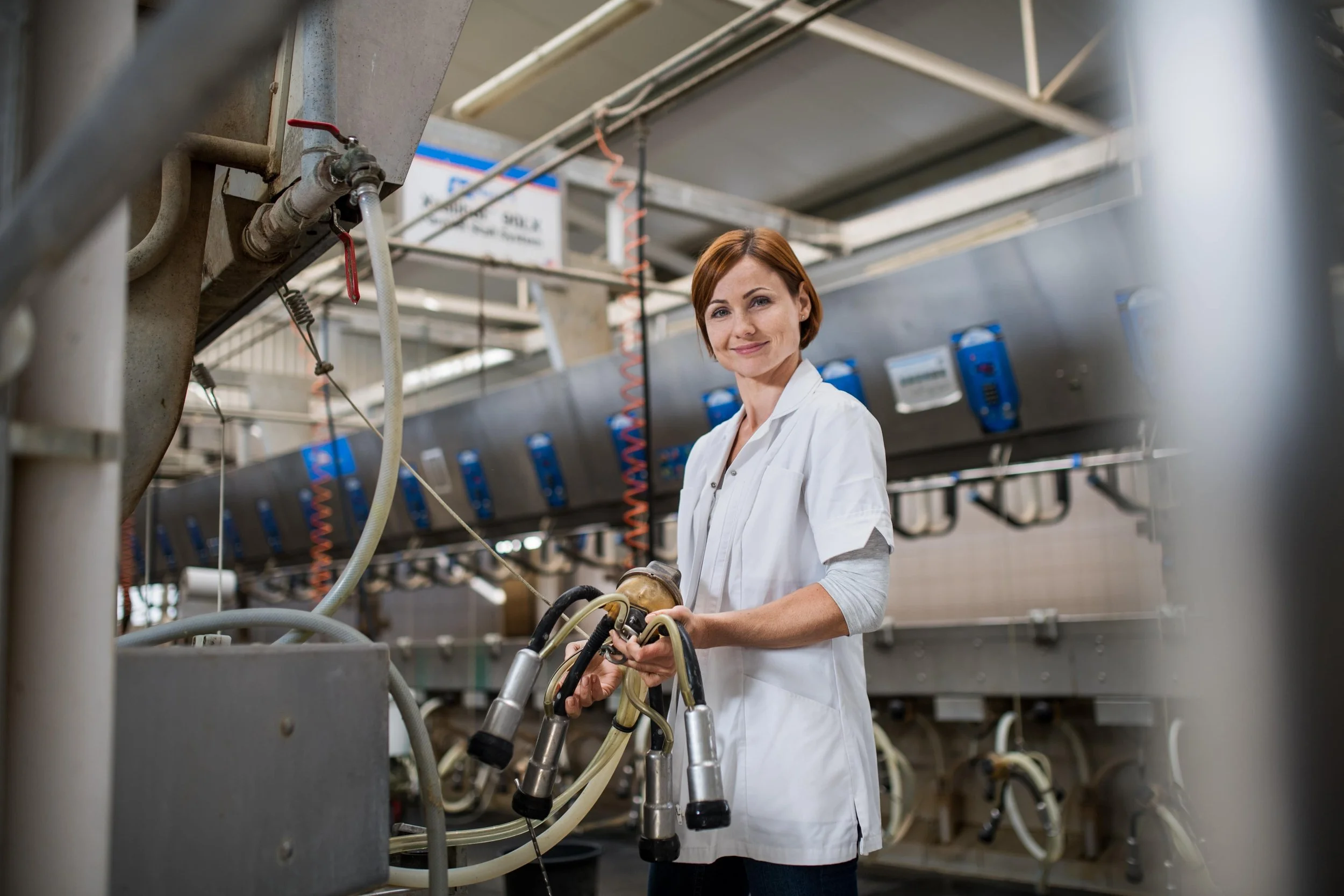 Meeting the standard: How dairy resting upholds regulatory compliance