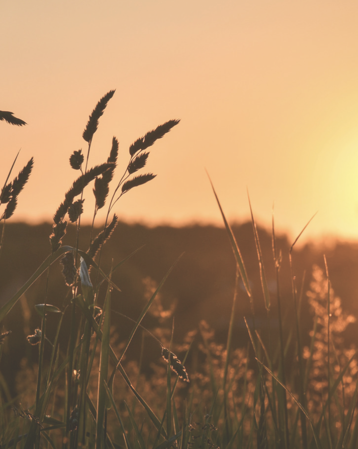 May Bank Holiday Opening Hours 2026