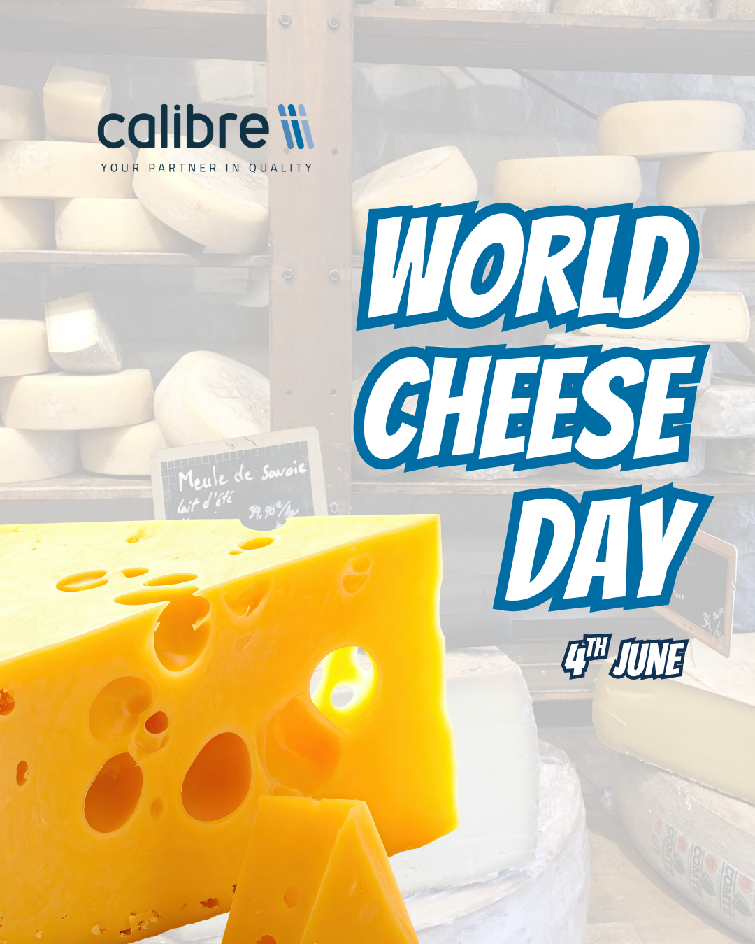 World Cheese Day: The Science Behind Every Great Cheese