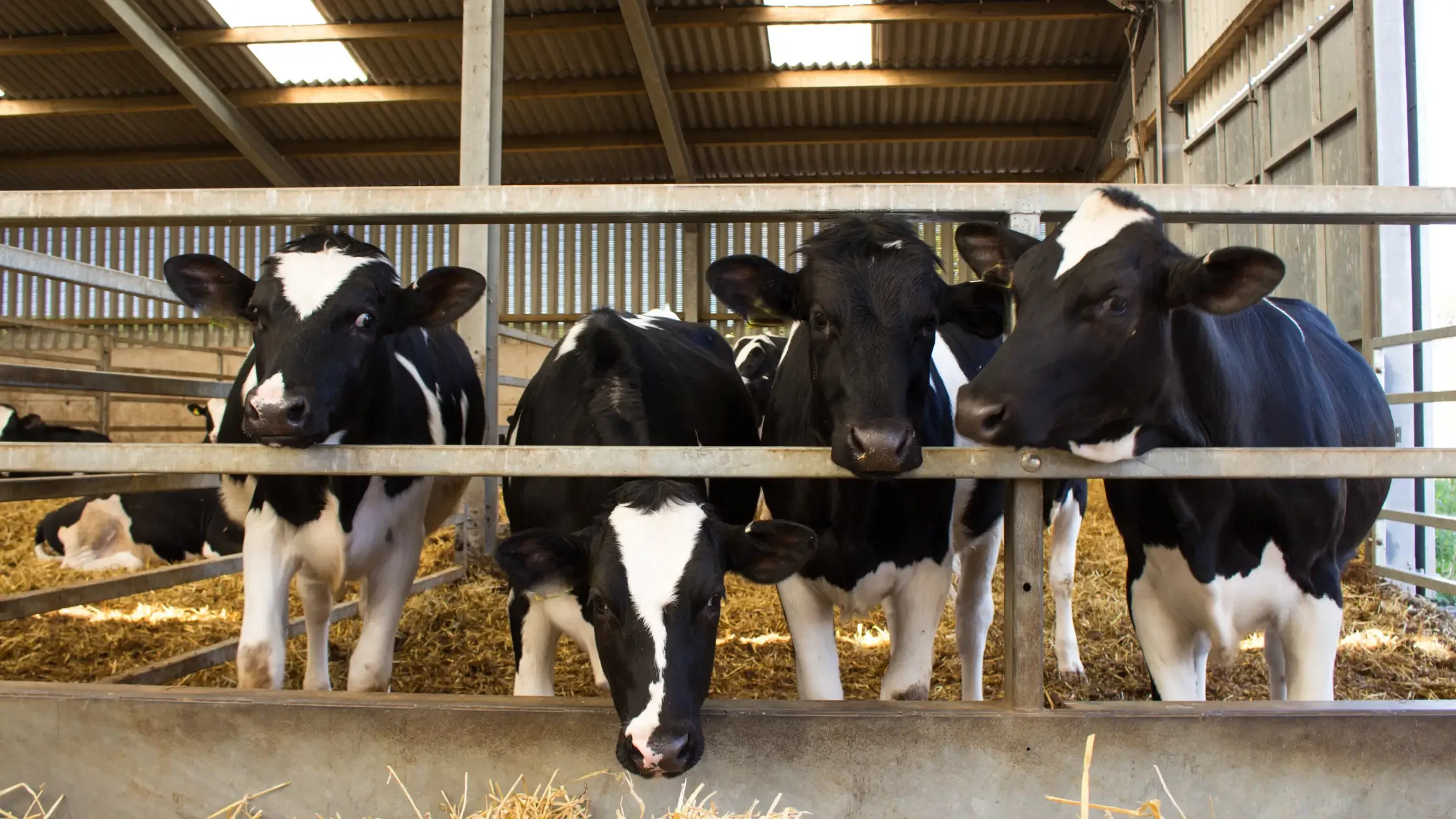 Dairy Testing Equipment
