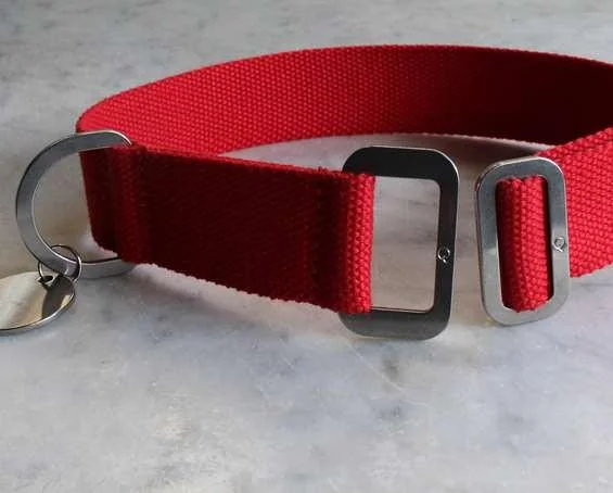 HindQuarters_Scarlet_Dog_Cotton_Weave_Collar_3_1024x1024.jpg