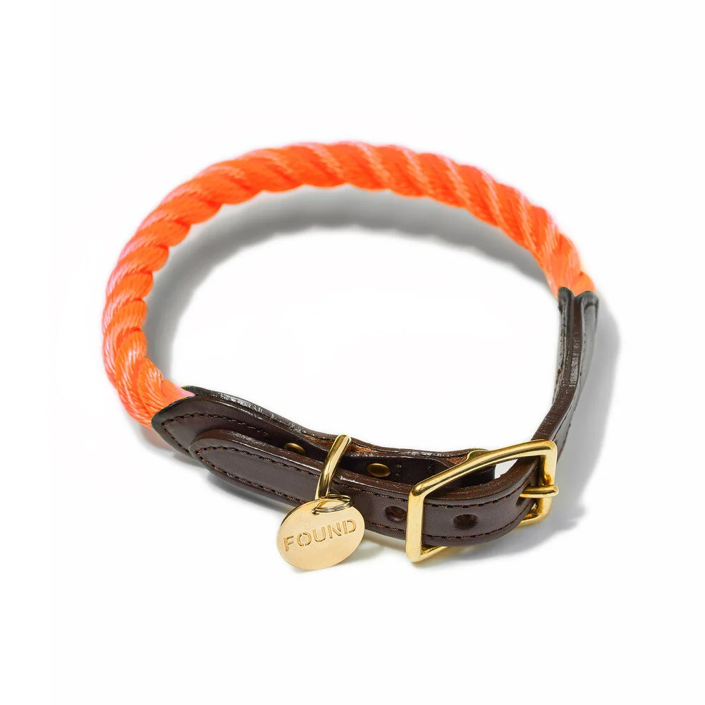 Found My Animal Collar - Rescue Orange