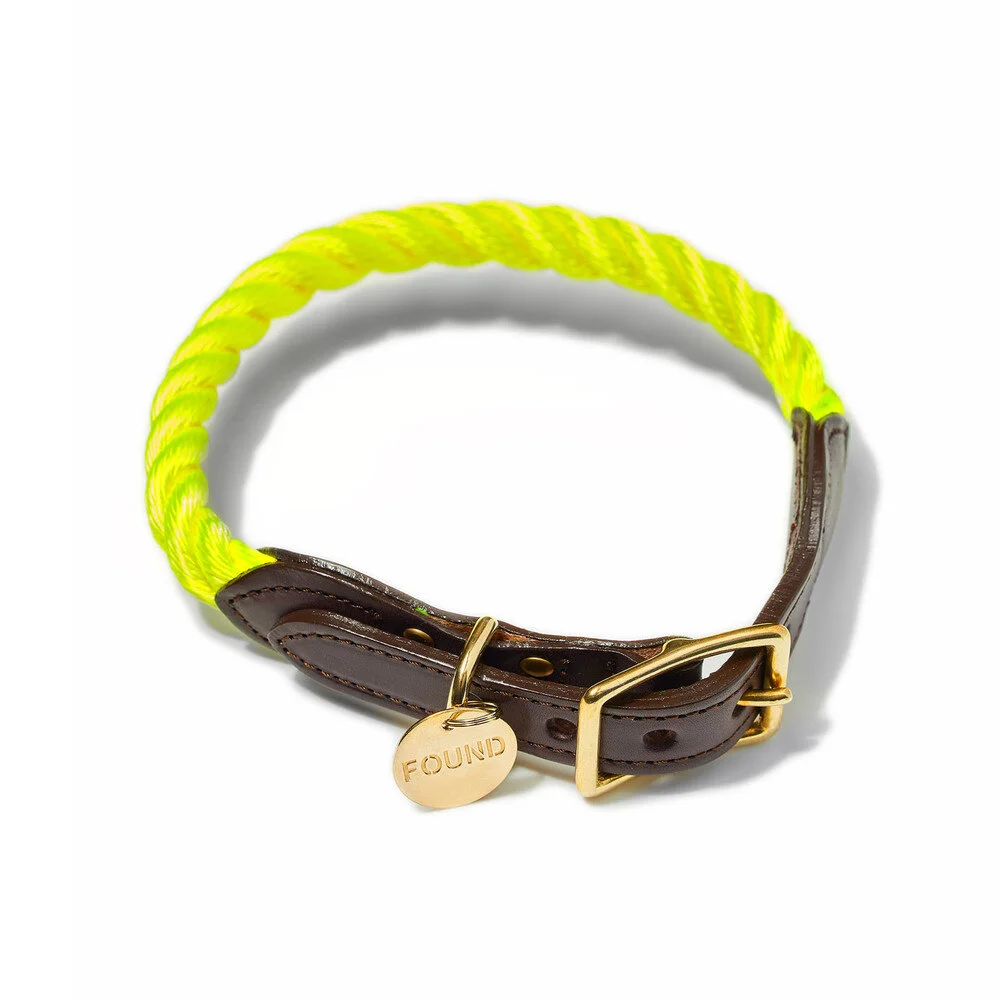 Found My Animal Collar - Neon Yellow