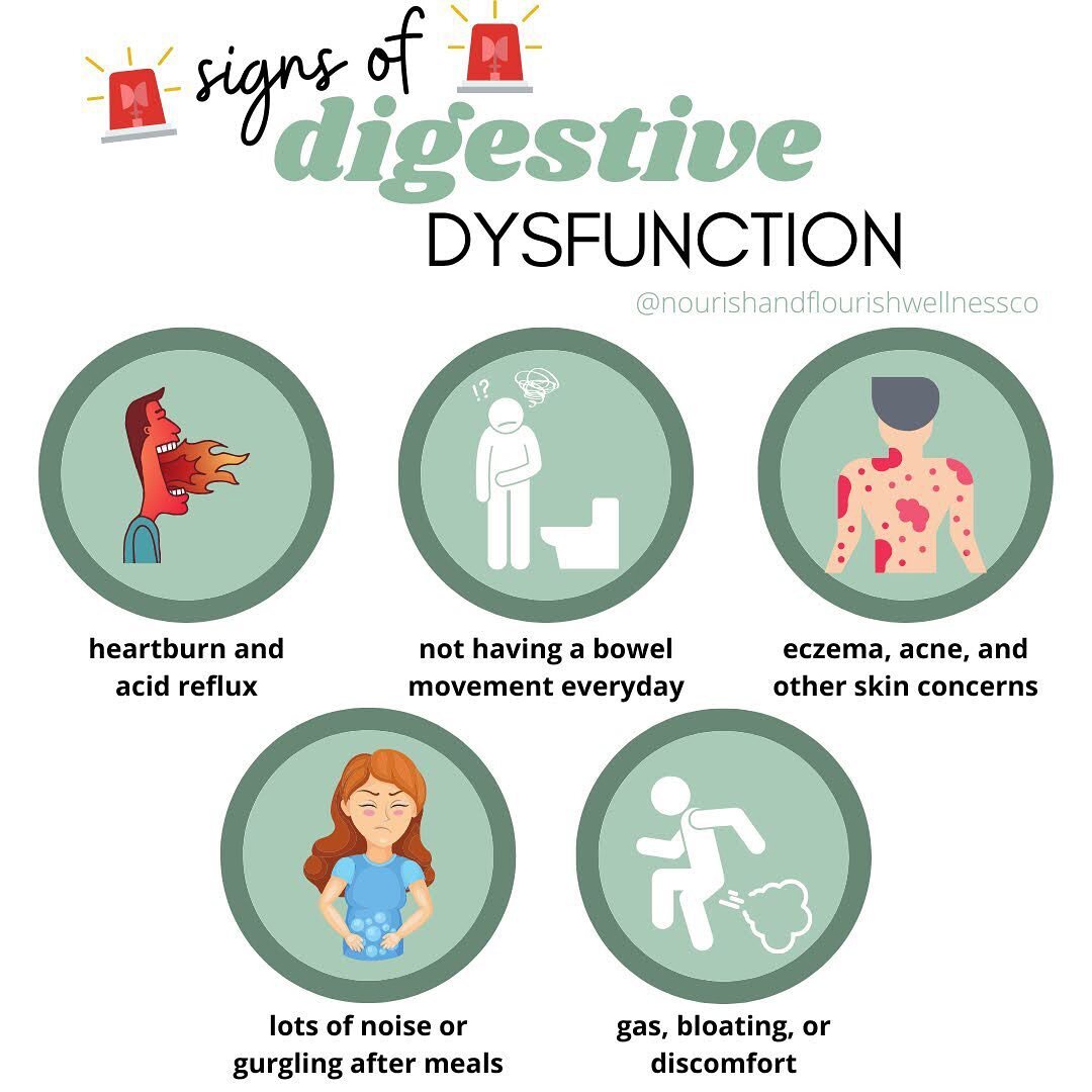 Do any of these sound familiar? 🤔These could be signs that you need to support your digestive health.

🔥Heartburn and acid reflux can happen due to insufficient digestive enzymes

🚩Constipation or slow motility is a big red flag that the gut needs