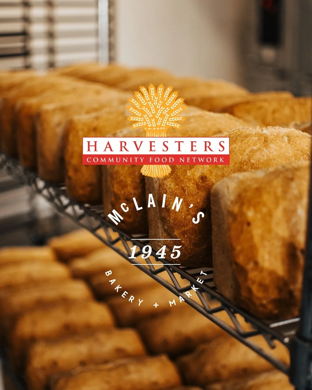 🌾🥫 McLain&rsquo;s Bakery + Market is excited to announce that we will be hosting a Food Drive for @harvesters at all 6 of our locations this Thanksgiving season. Please join us in donating what non-perishable items you can, so that we can help supp