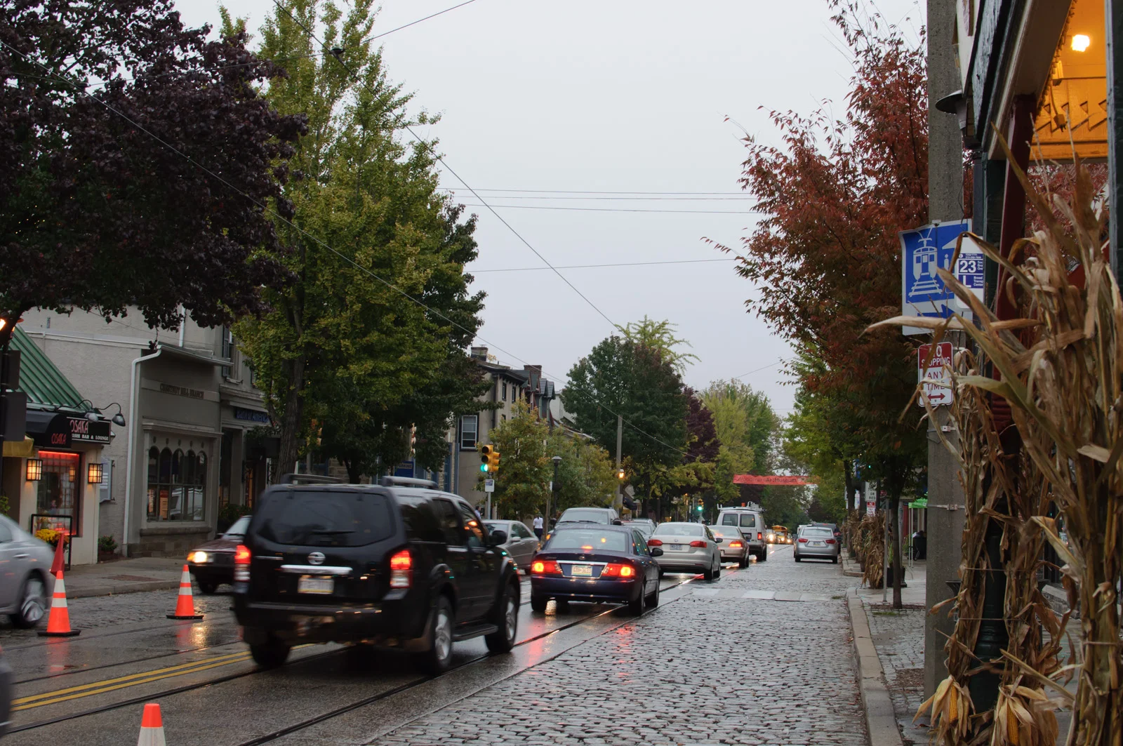 Chestnut_Hill,_Philadelphia_(6315441711).jpg