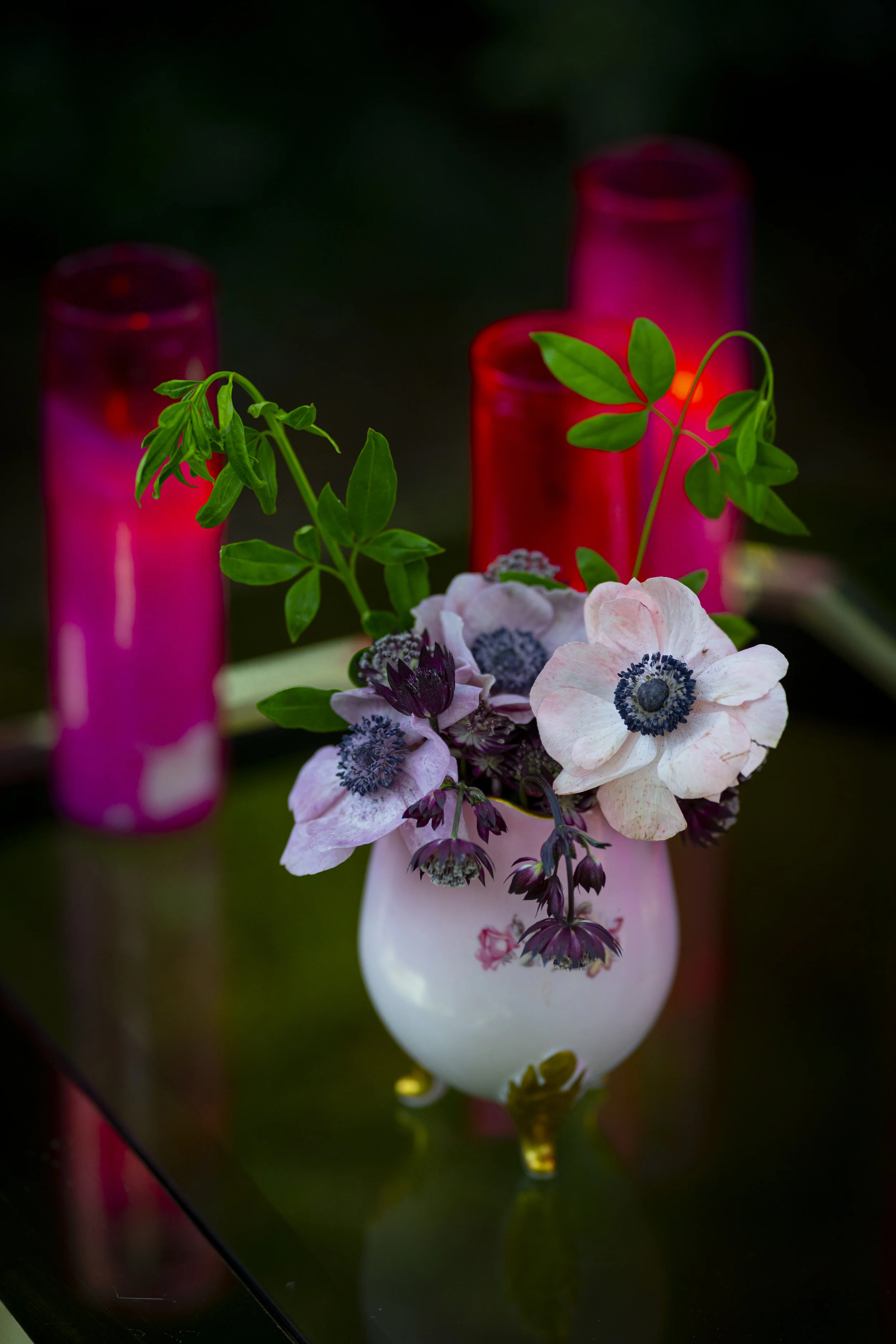 BarbaraFG_DAPHNE-2020-1621.jpg