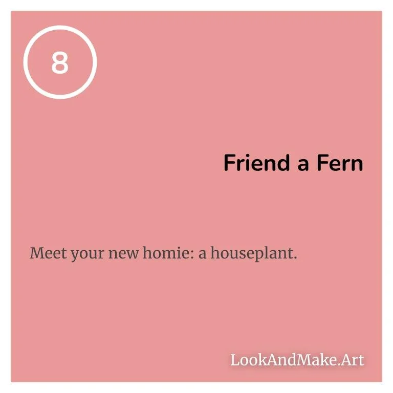 #8: Friend a Fern