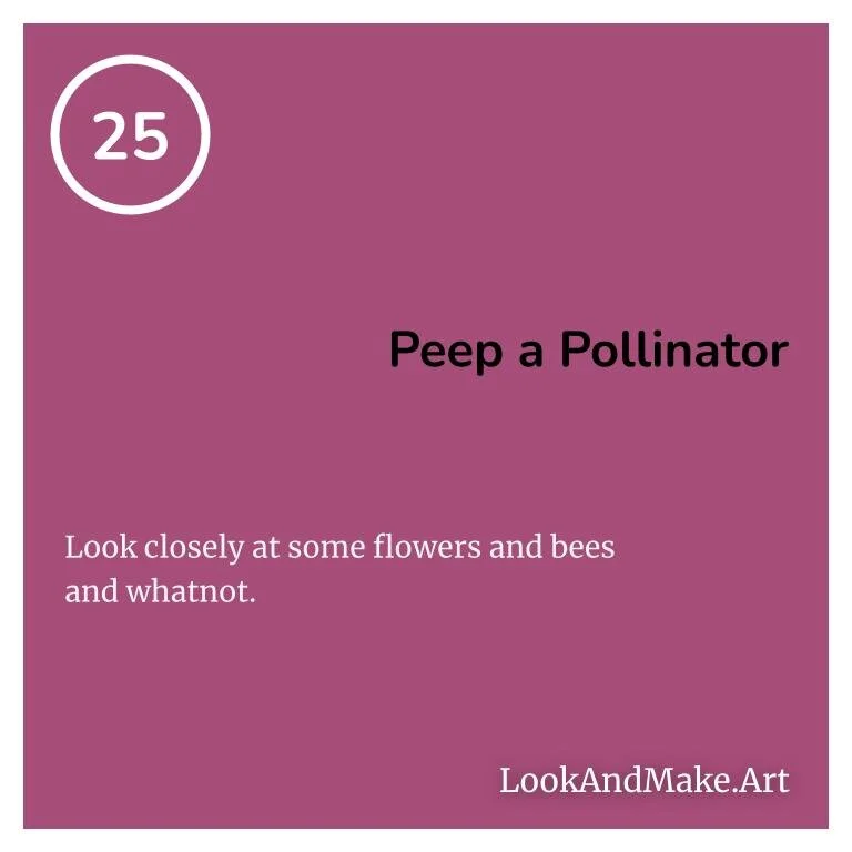 #25: Peep a Pollinator