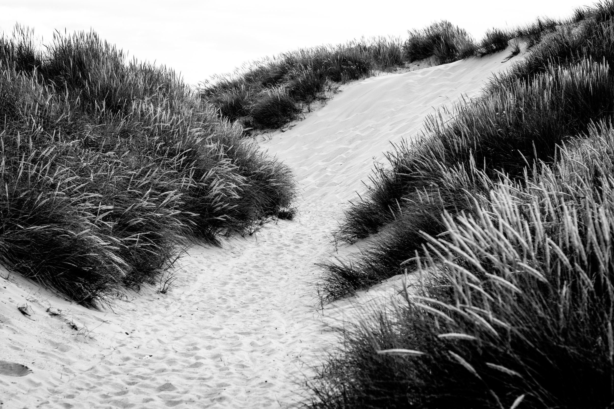 Dunes