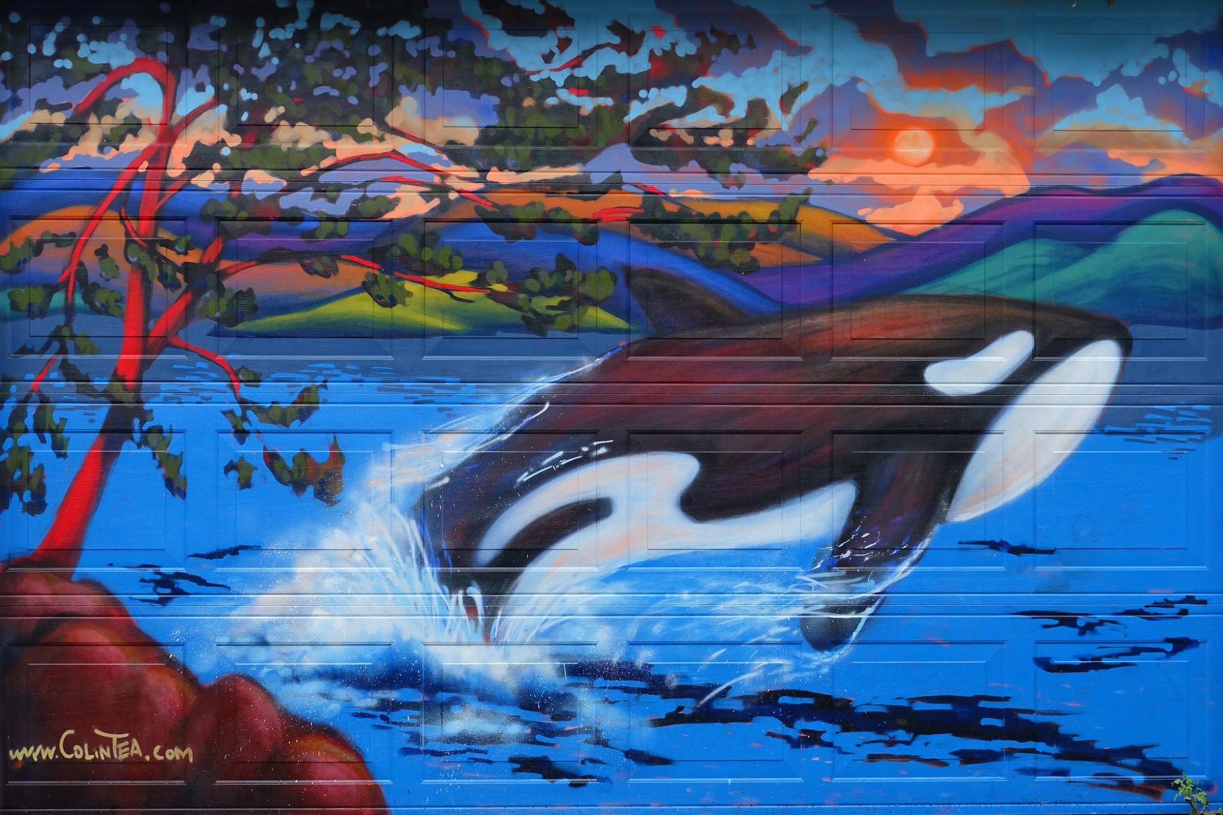Westcoast killer whale mural
