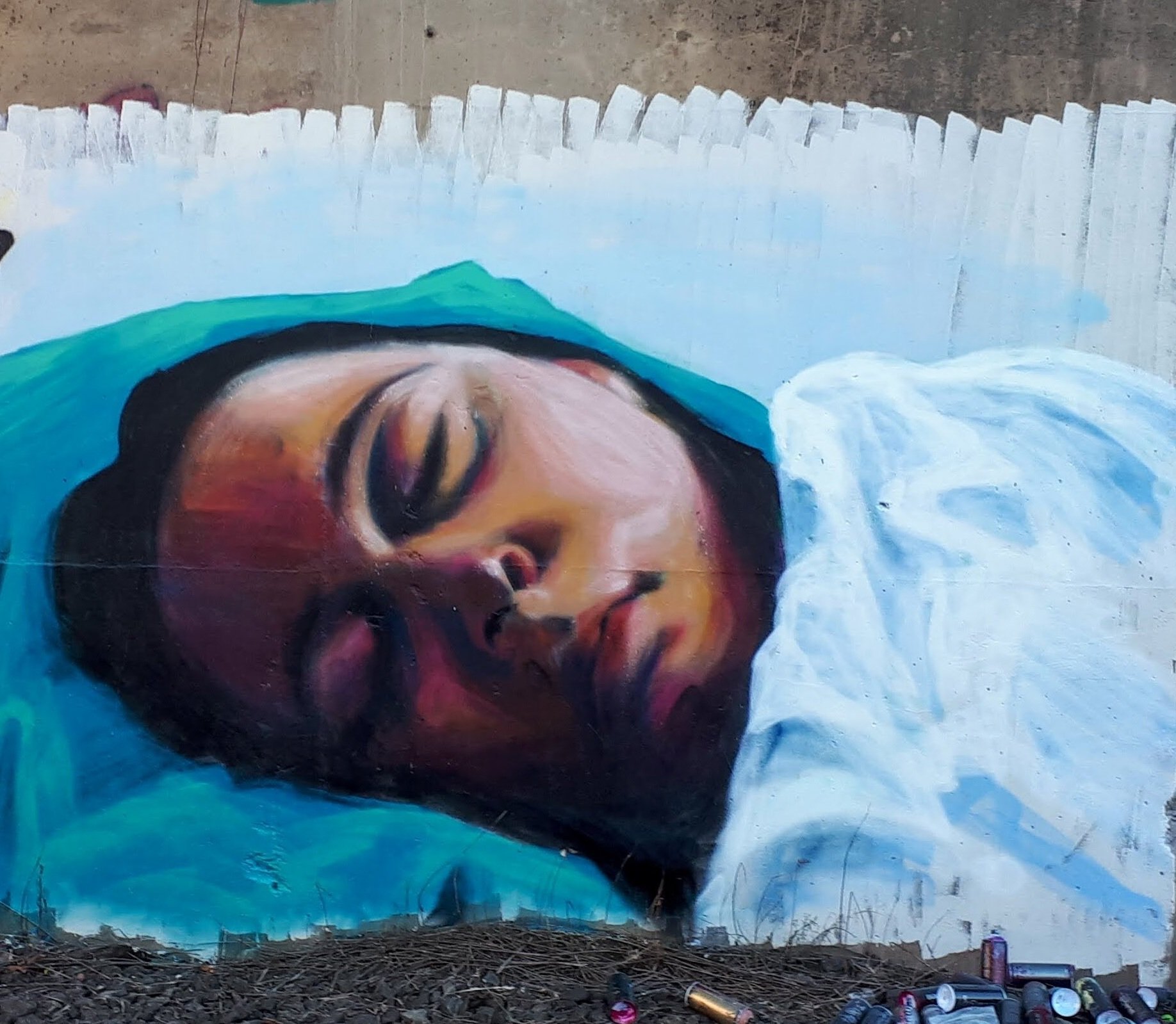 Hayley Sleeping Portrait Mural
