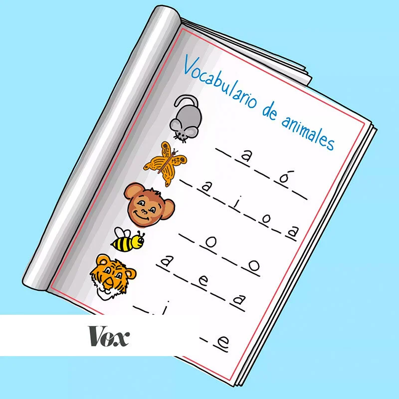 The best $295 I ever spent: Spanish classes as a Latina in Trump’s America