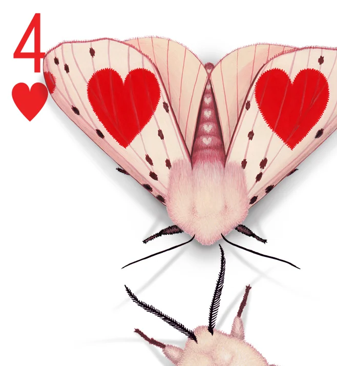 Image description; the corner of a 4 of Hearts playing card design. The design has been hand-painted with moths that look like they have evolved a wing pattern that camouflages them on the card.