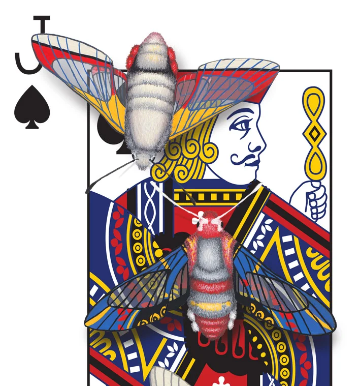 Image description; the corner of a Jack of Spades playing card design. The design has been hand-painted with moths that look like they have evolved a wing pattern that camouflages them on the card.