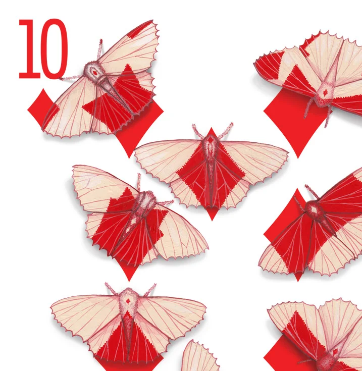 The corner of a 10 of Diamonds playing card design. The design has been hand-painted with moths that look like they have evolved a wing pattern that camouflages them on the card.