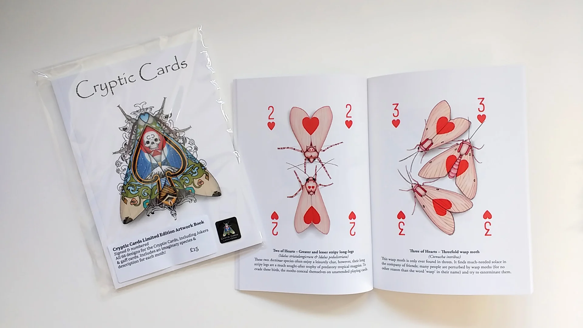 The art book for the playing card deck 'Cryptic Cards'
