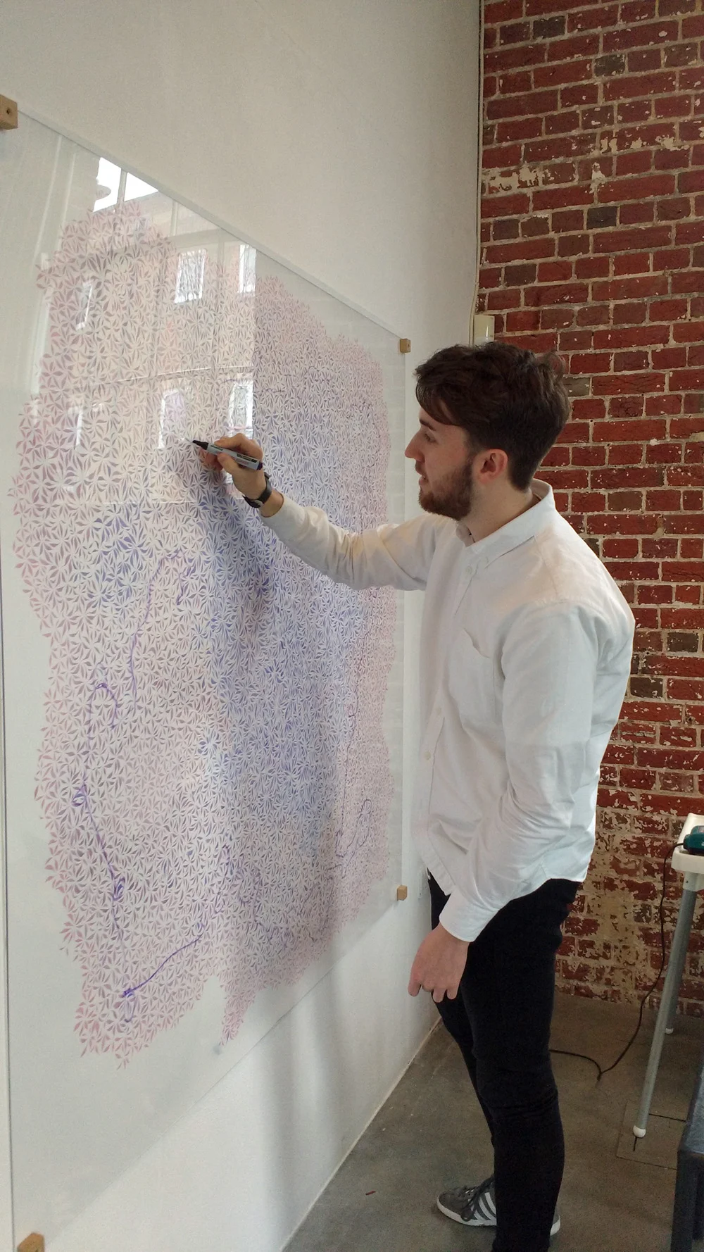 A person in a white shirt drawing over a very large pink and purple ink pattern behind a perspex sheet, with a purple dry-wipe marker pen.