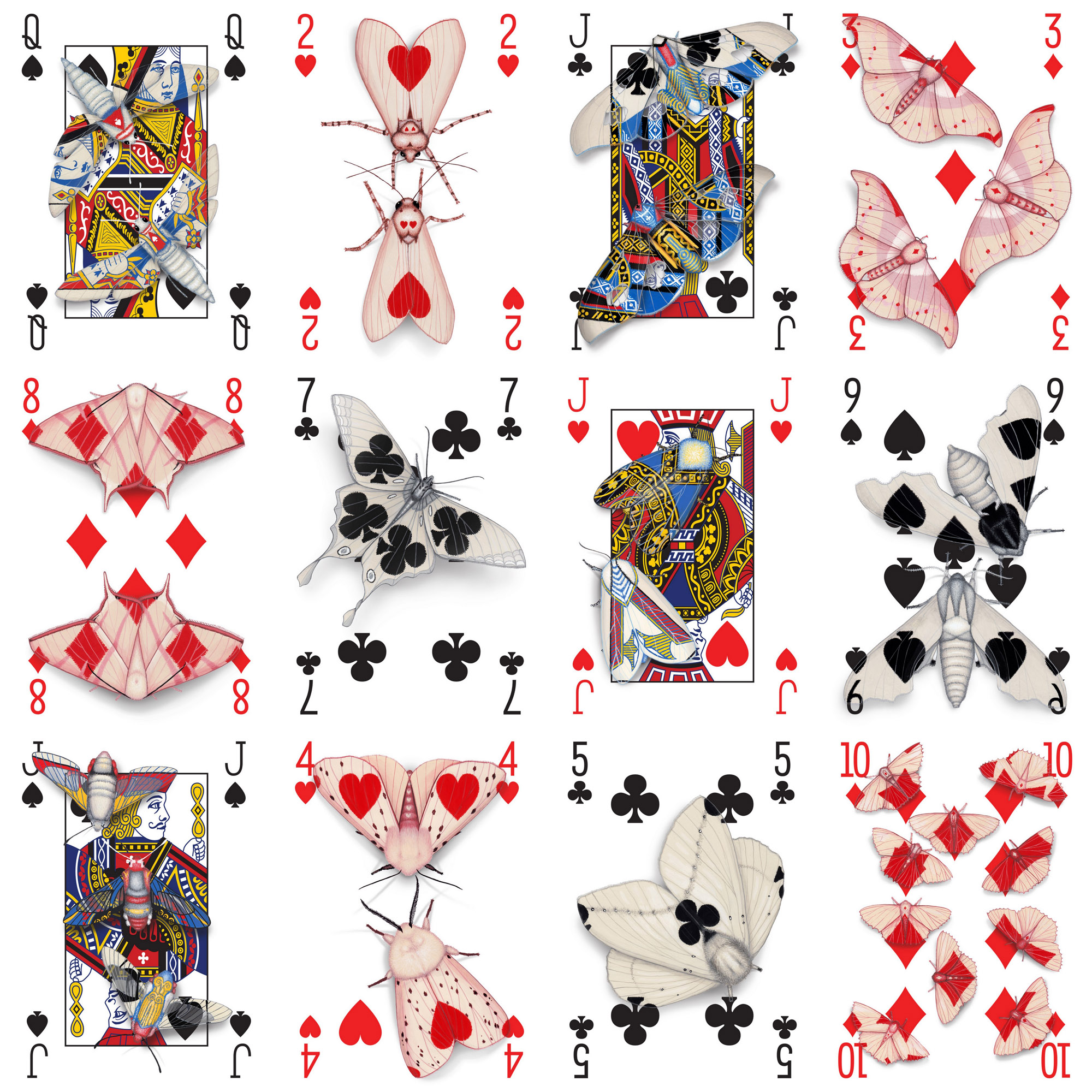 12 Cryptic Cards .jpg