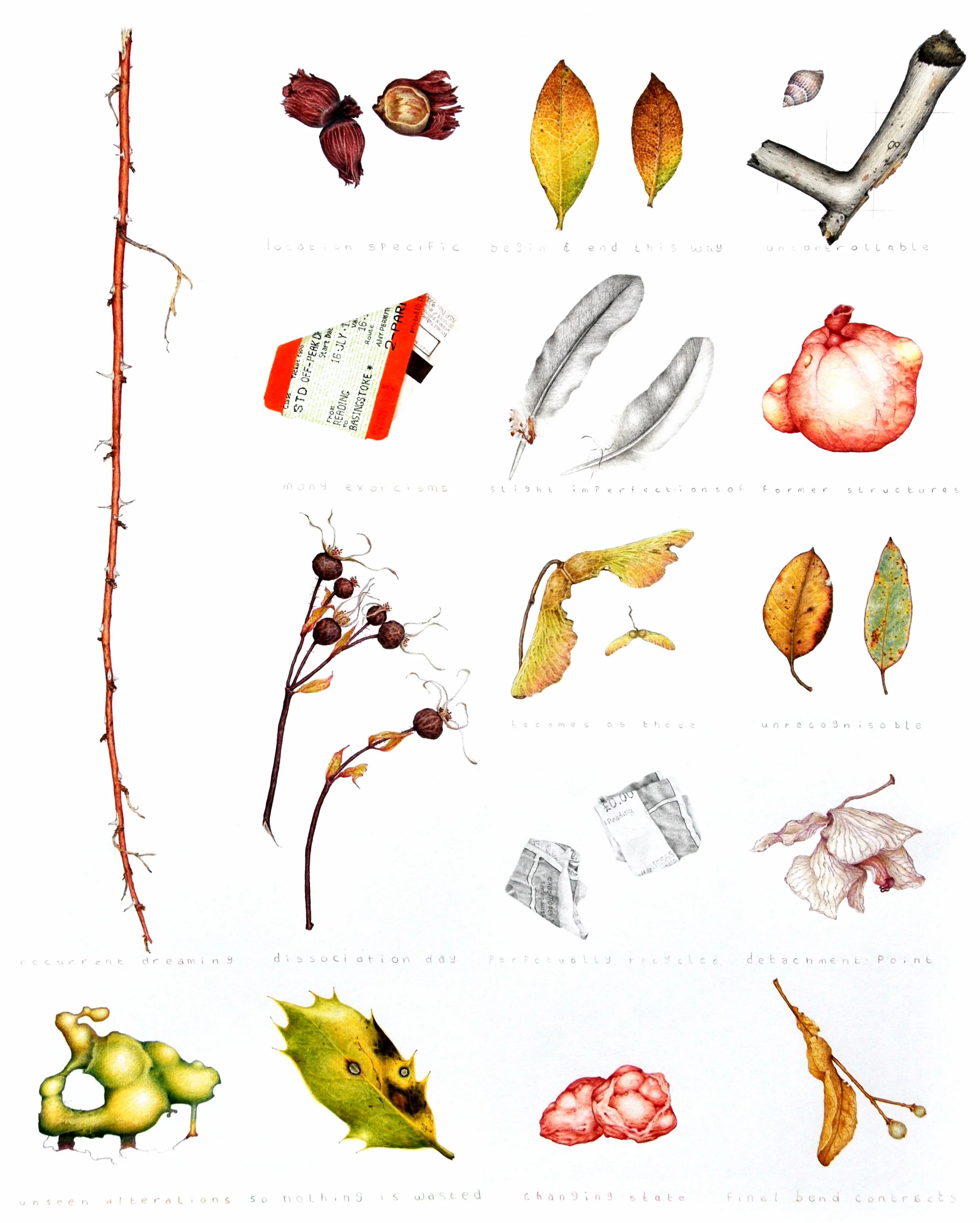Debris1.jpg