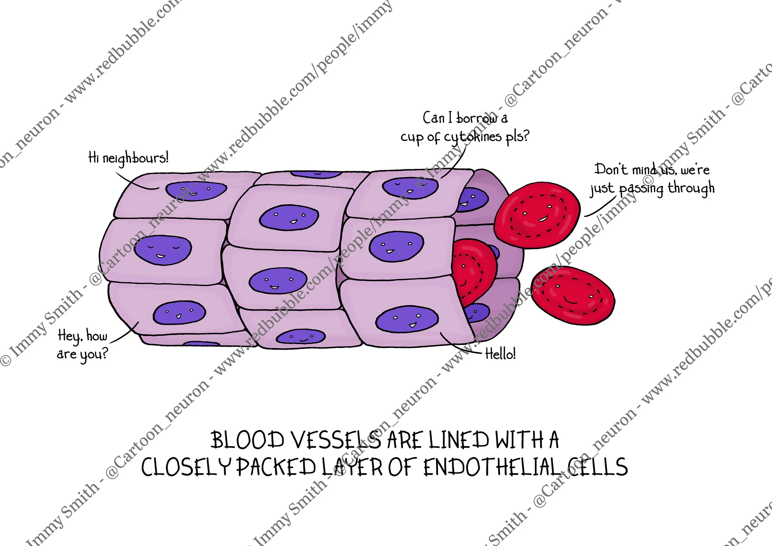Endothelial cells commissioned for a poster series