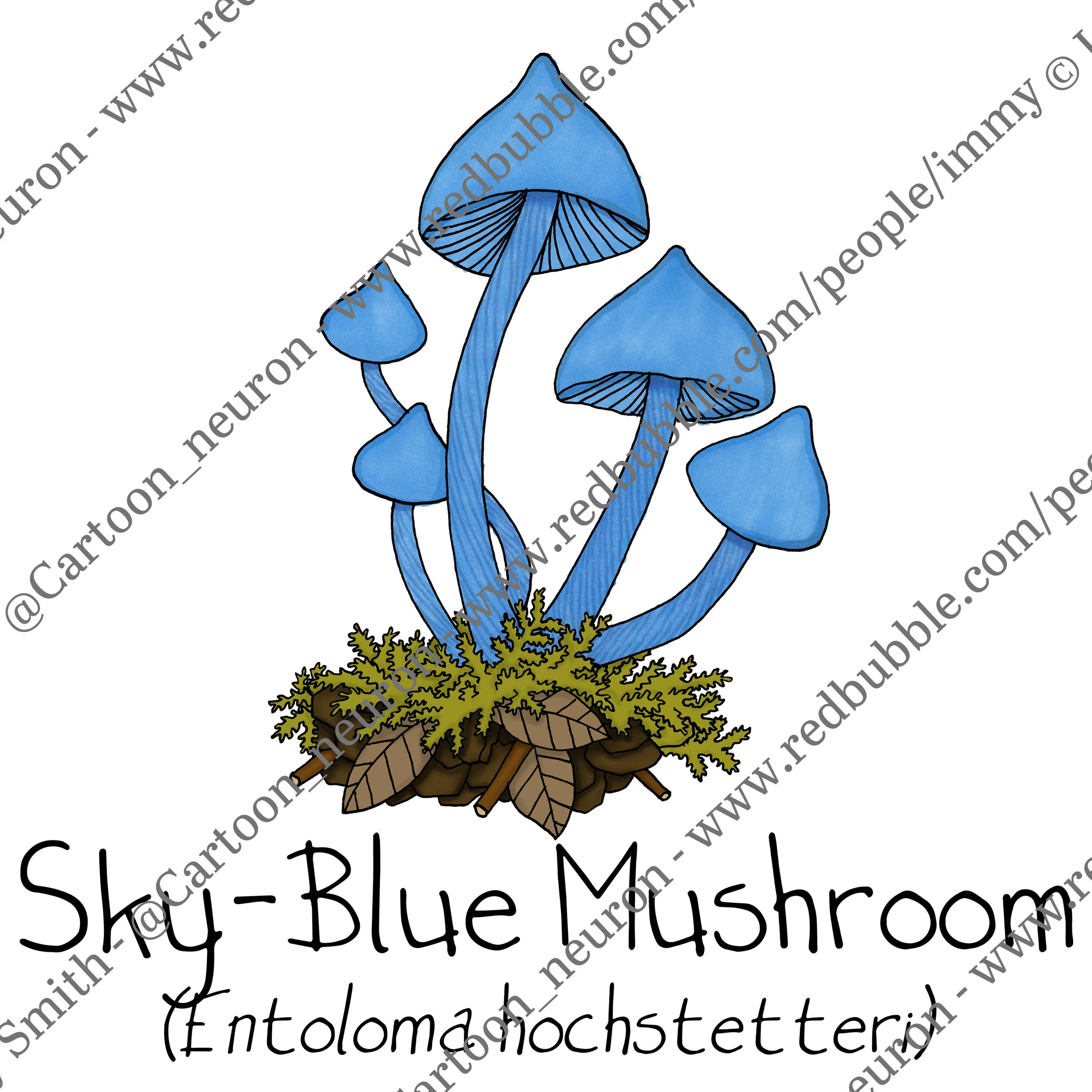 Fungi botanical cartoons for poster series