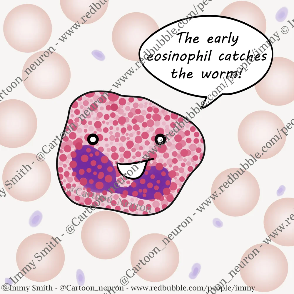 Eosinophil licenced for educational use
