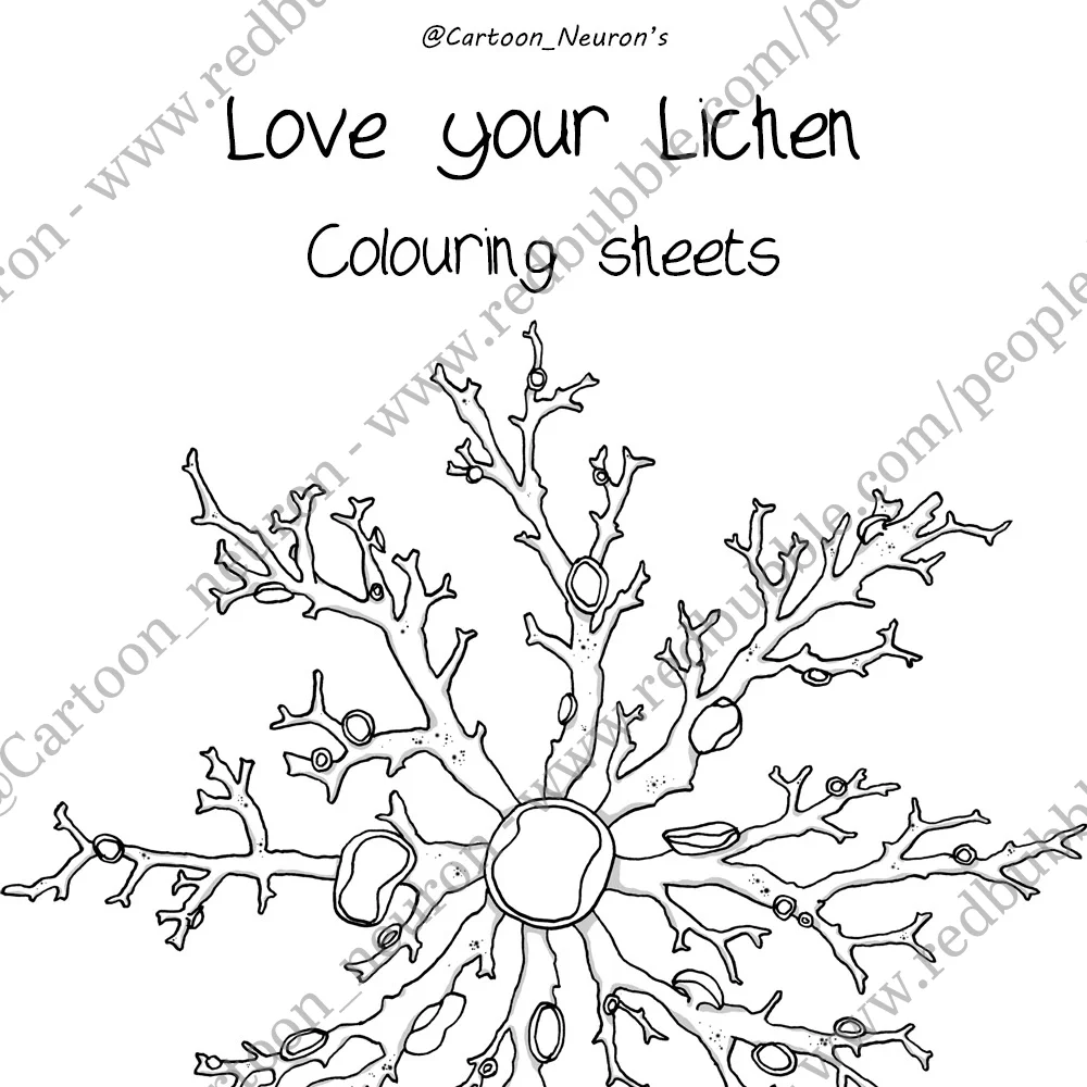 Colouring sheets commissioned for a workshop