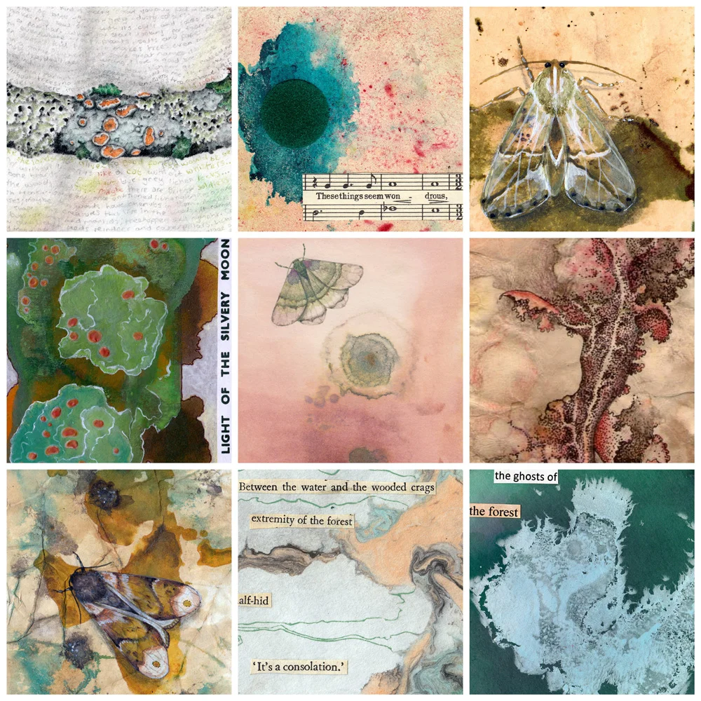 A collage of 9 images of lichen-like patterns, lichen drawings, and cryptic moths