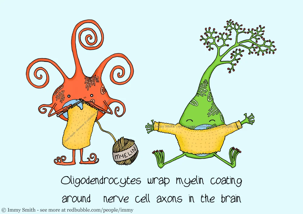 Image description; a cartoon of an orange oligodendrocyte knitting a jumper for a green neuron out of yellow myelin