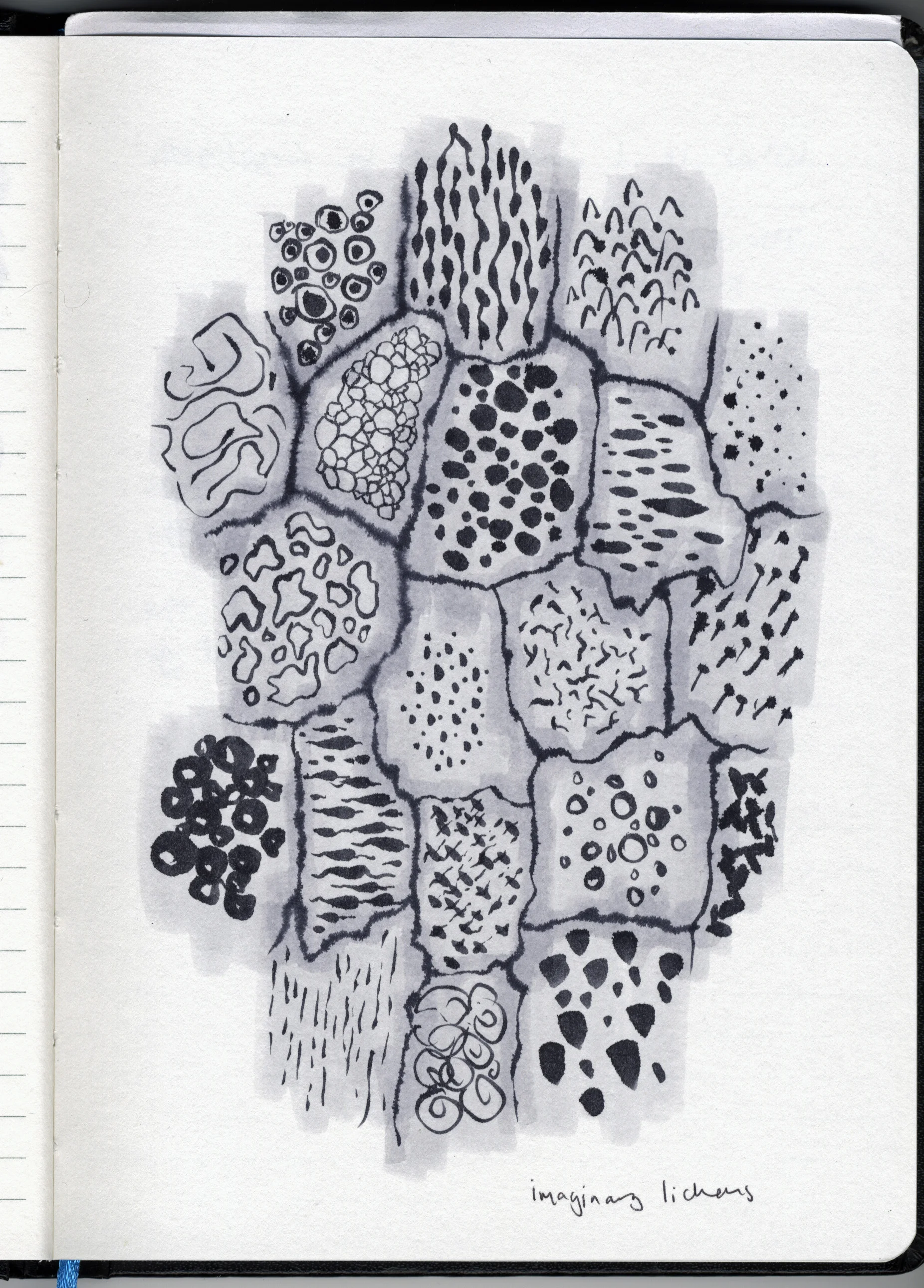 Inktober_2018_Week_4-3.jpg