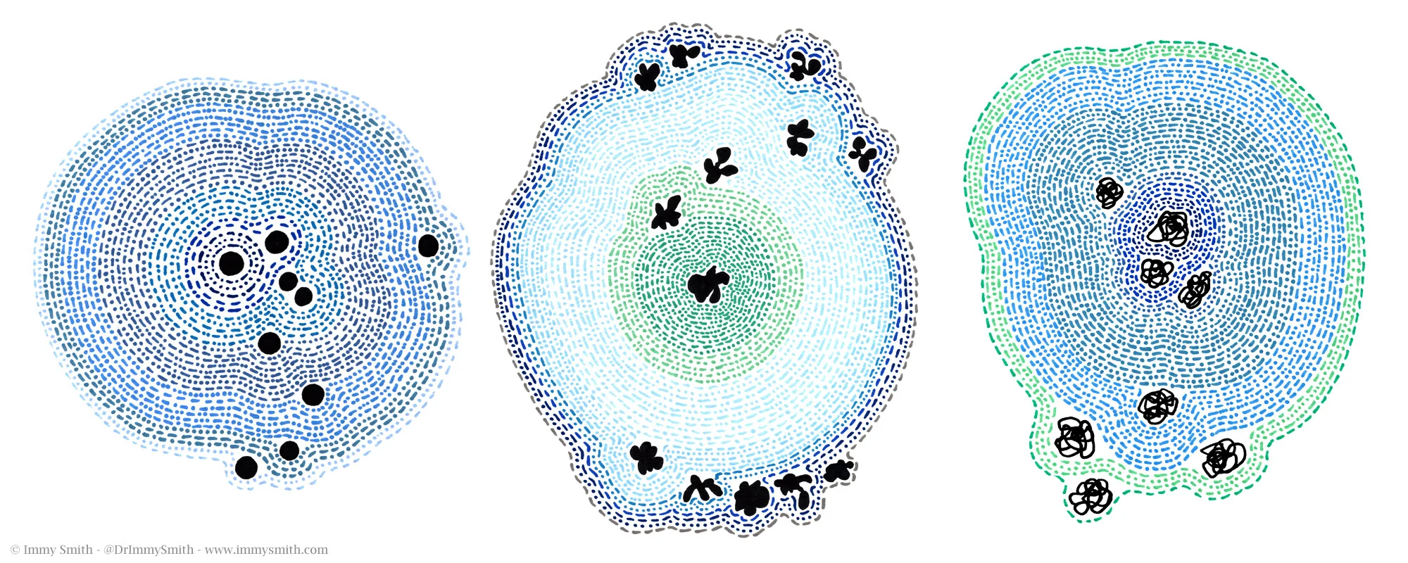 Image description; 3 irregularly shaped patterns on a white background. The patterns are made from concentric layers of ink dots and/or dashes in various shades of blue, from light powder blue all the way through to navy blue, and including greenish-blues. There are black shapes interspersed between the layers, & a black shape in the centre of each pattern.