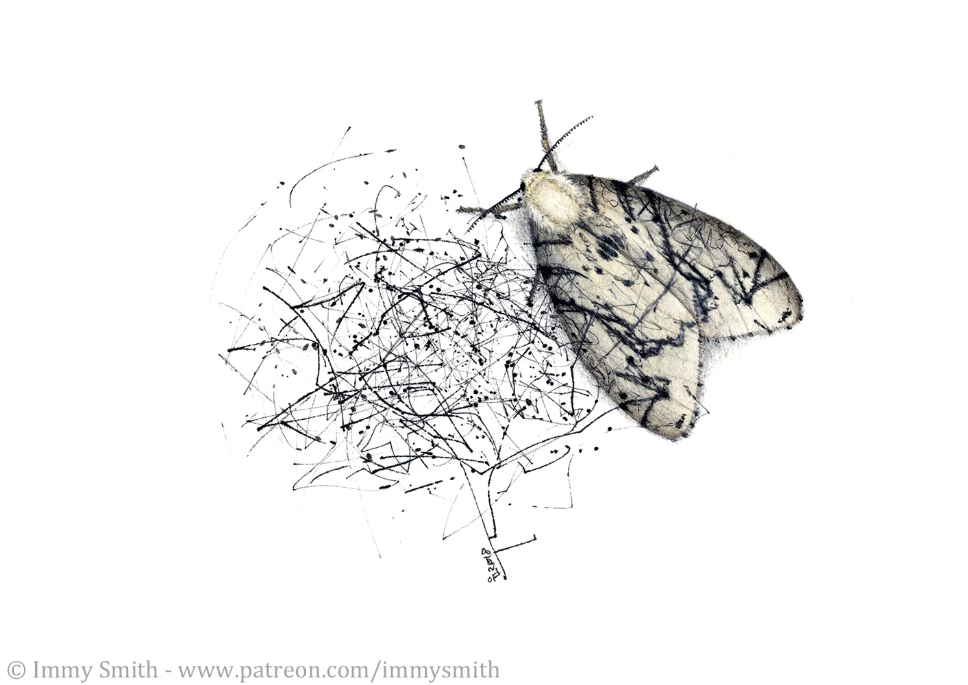 DrawingMachineMoth.jpg