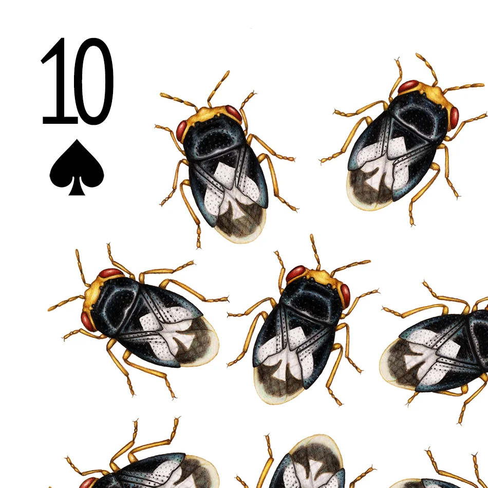 Image description/alt text; the top left corner of a playing card design featuring 10 big-eyed bugs, each with a white spade symbol on its back.