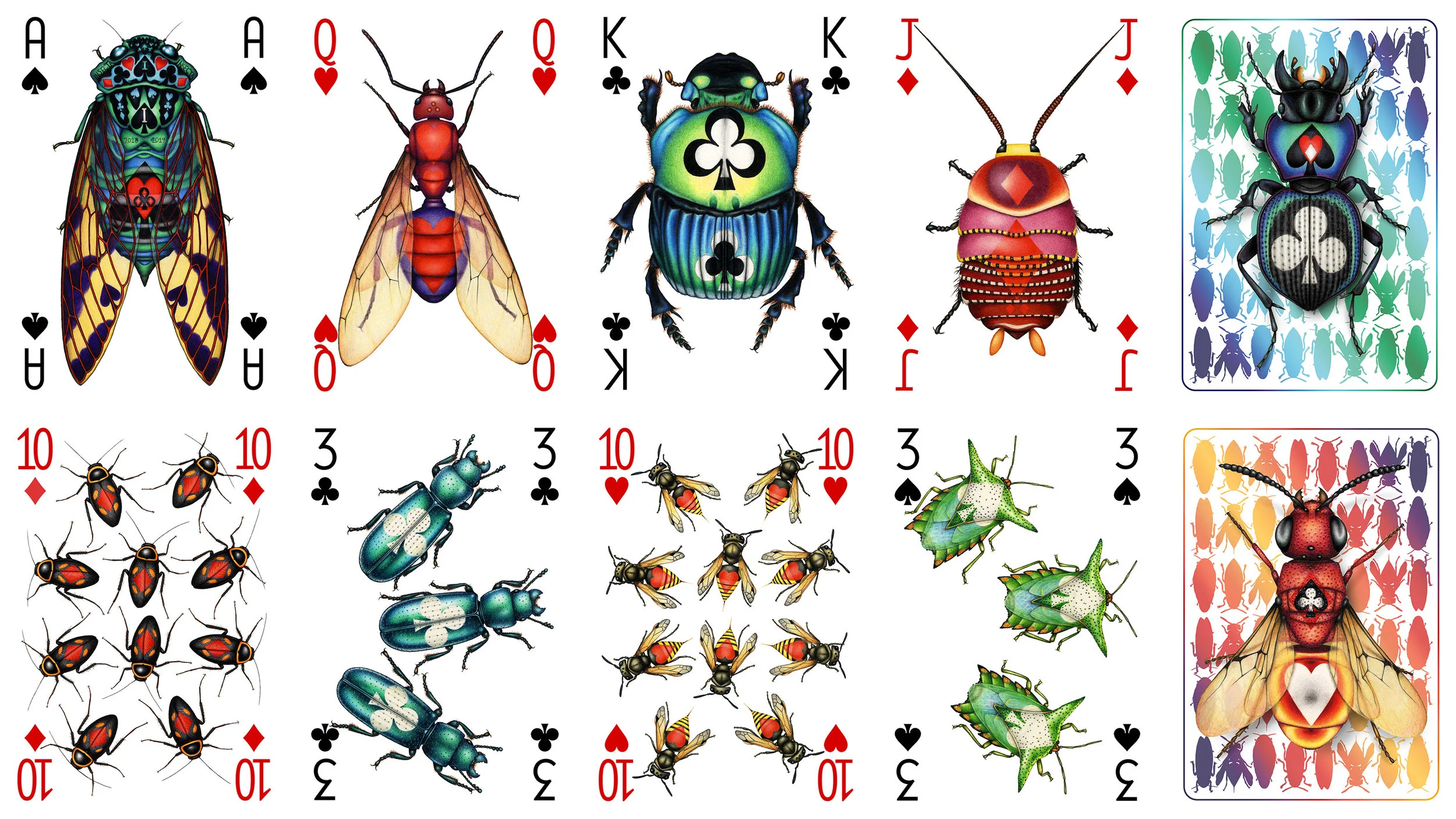 Designs from my next entomological poker deck, where different taxonomic orders of insects carry suit symbols
