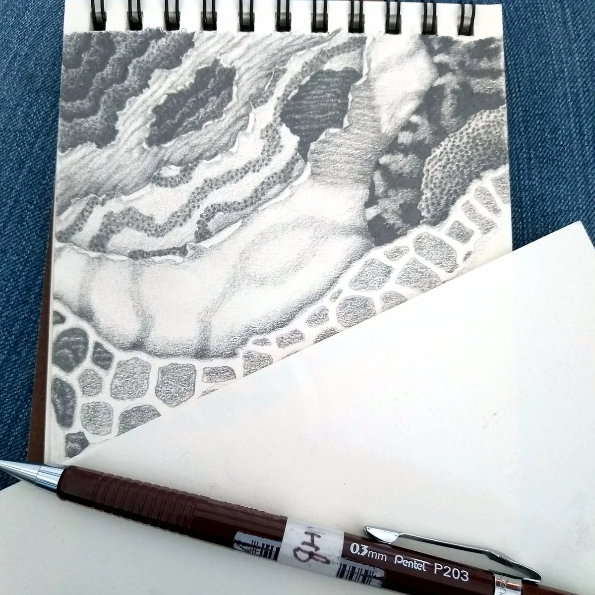 Drawing on a smaller pad of the same paper in the doctor’s waiting room. It’s cheap enough that I’m prepared to subject it to the mayhem of my travel bag!