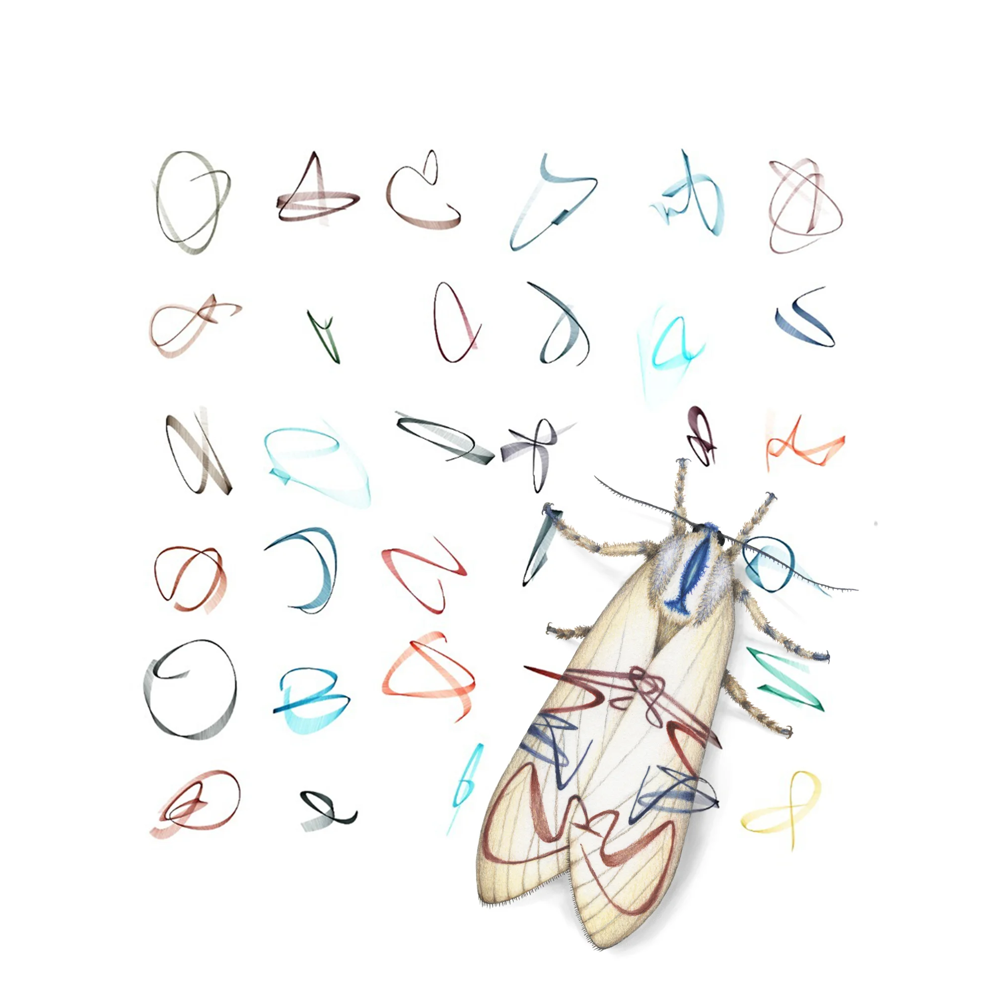 Generative Lepidoptera - moths
