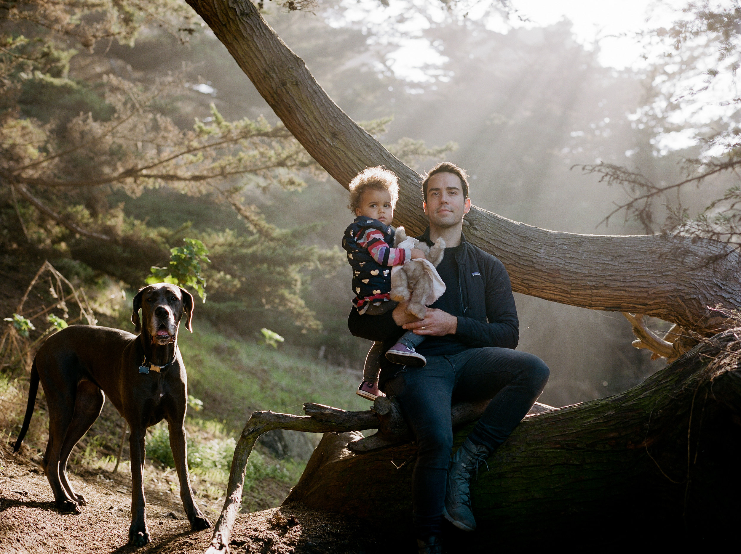 Family photograph with Great Dane on Land’s End Trail in San Francisco, CA. by Rachel Sima Photography