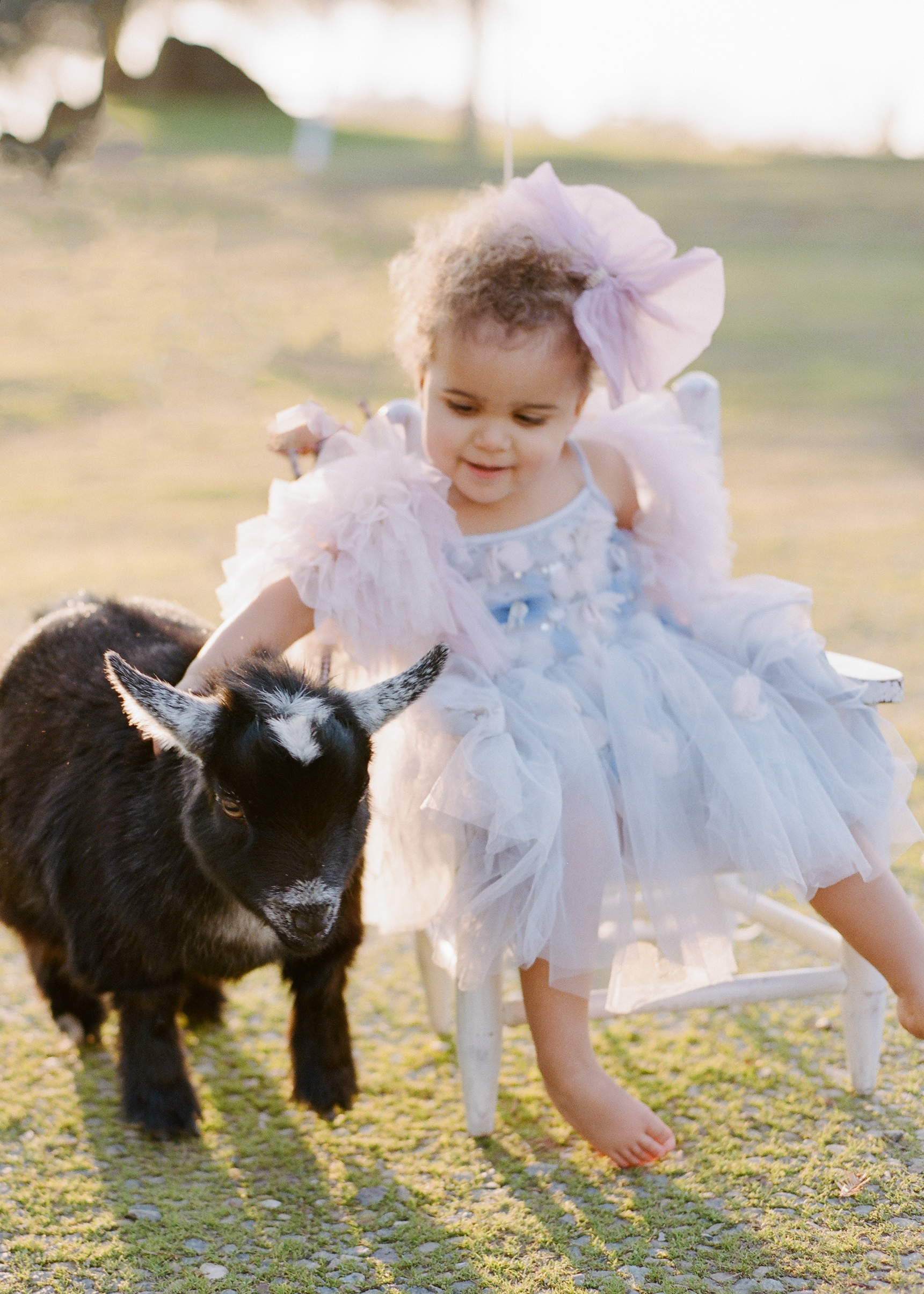 Dreamy second birthday with animals in northern California