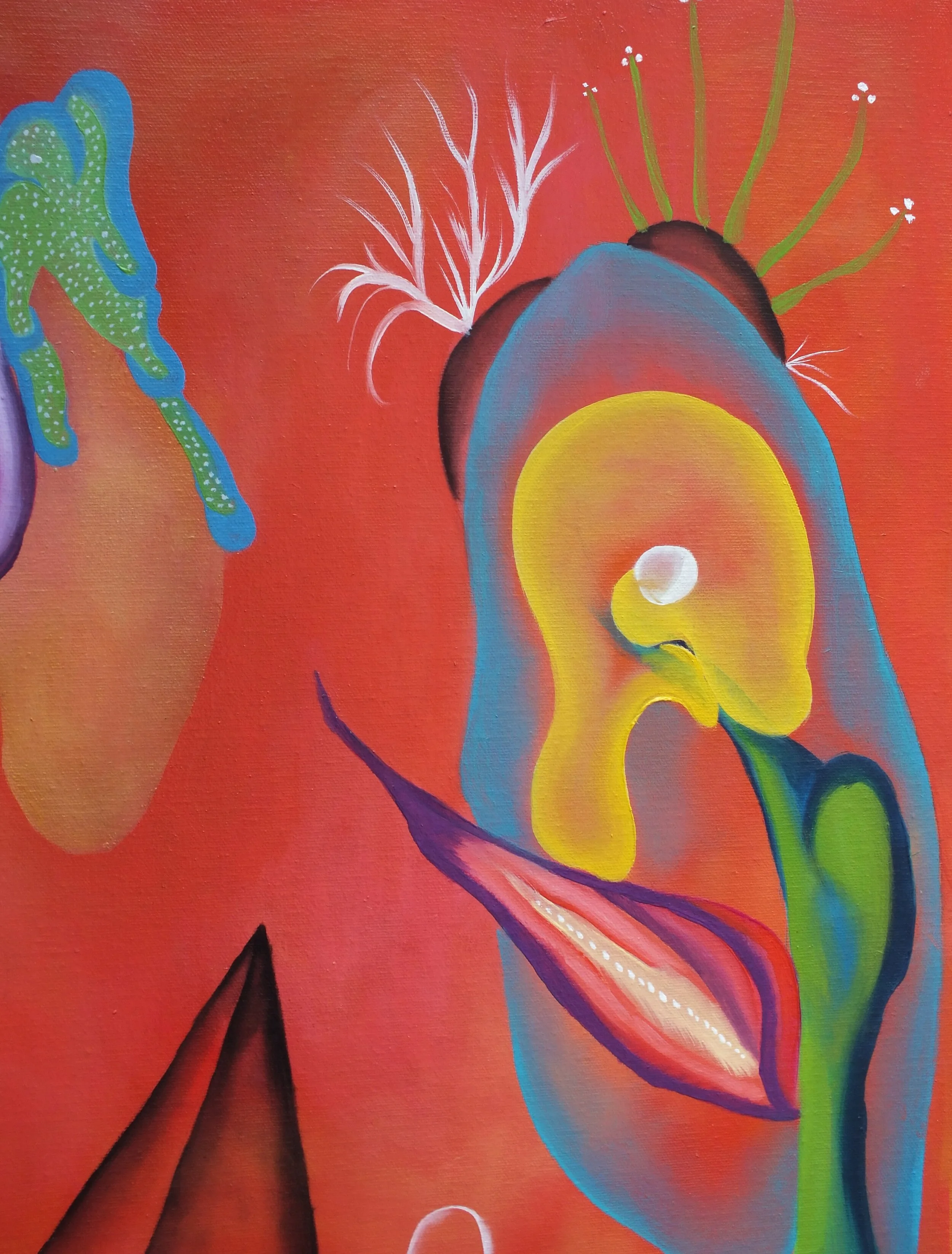 Tropical_Variation pajaro paraiso_35 detail.jpg