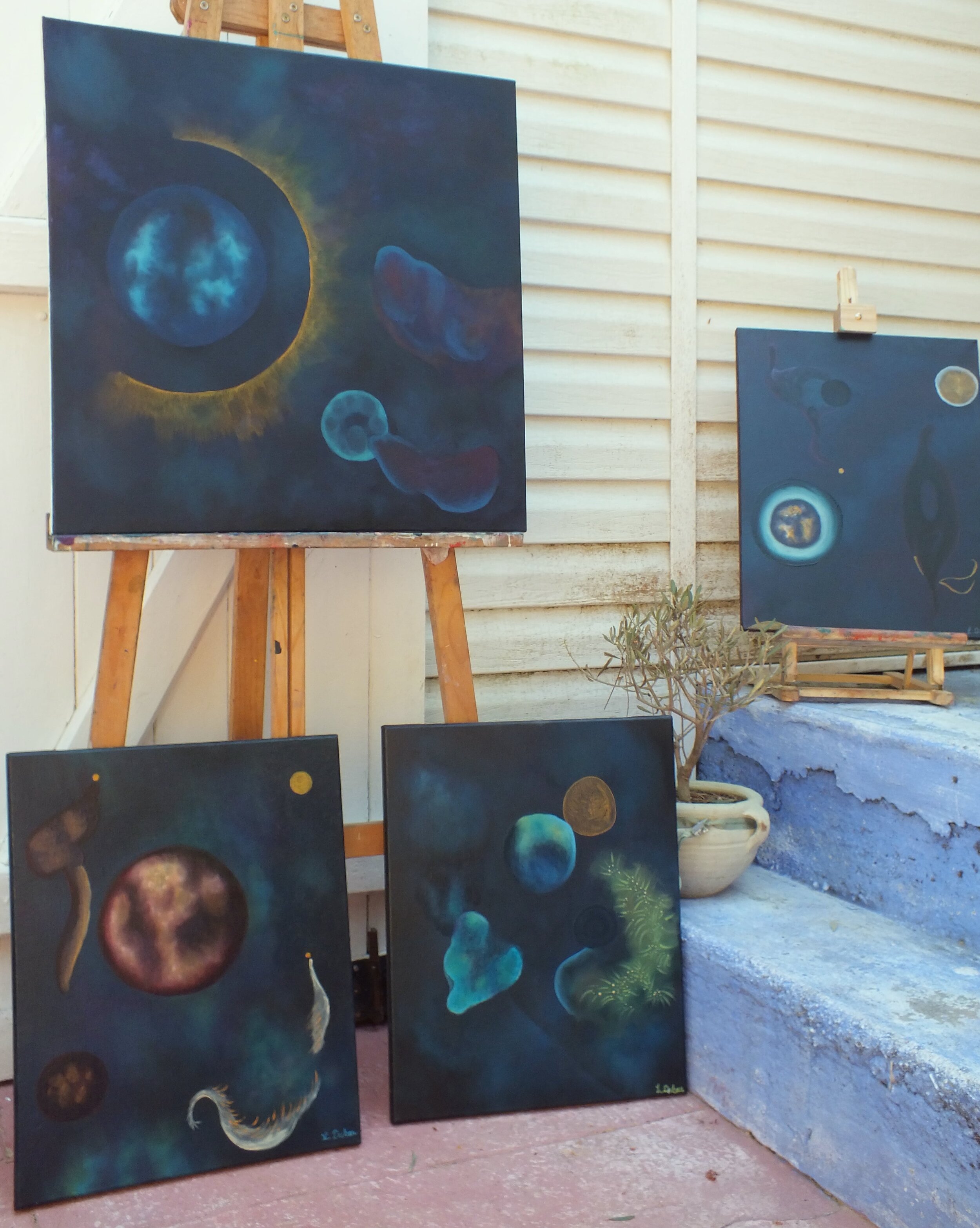 Cosmos outside pour INSTA-1-min.jpeg