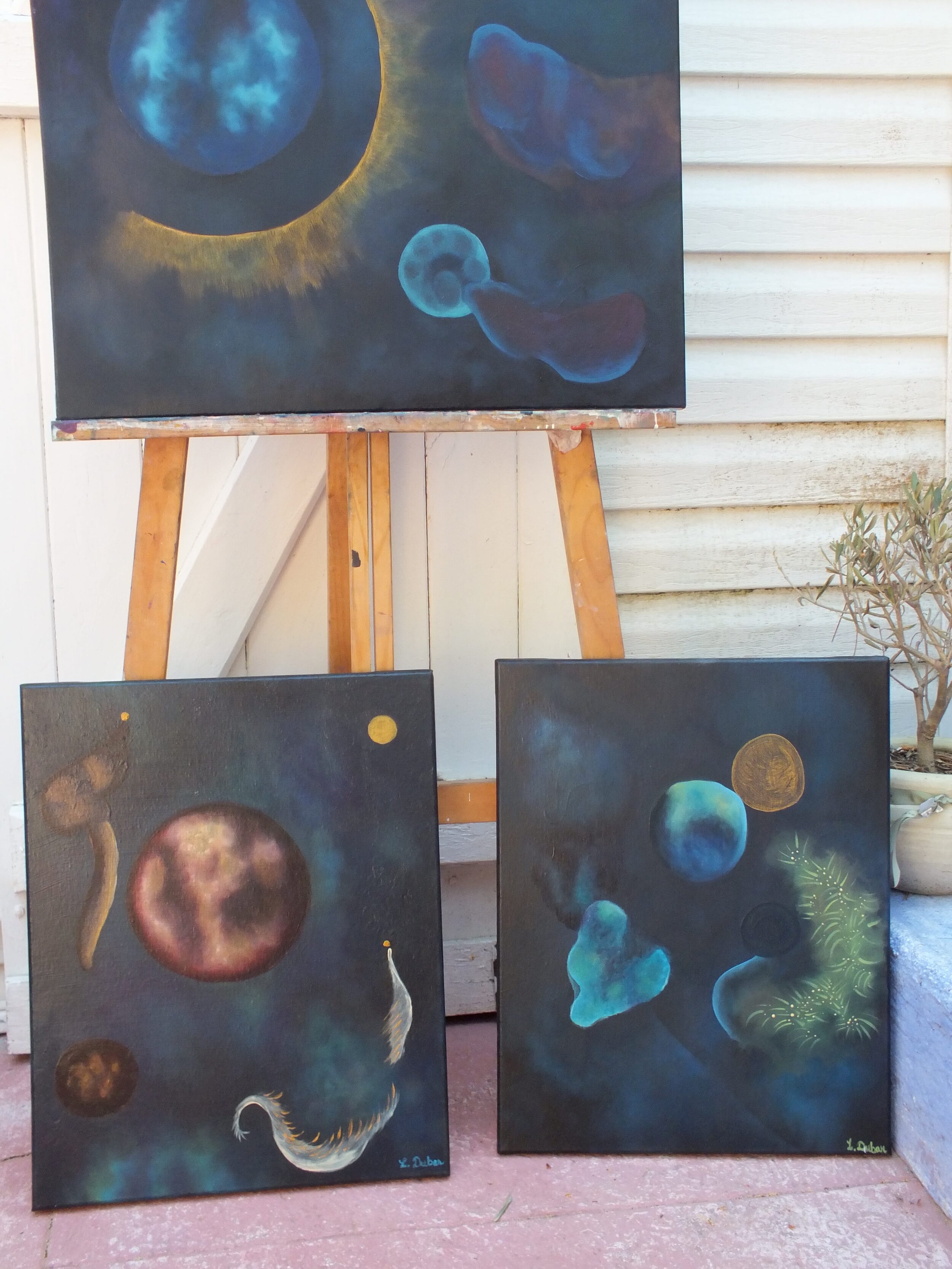 Galerie PAJARO_cosmos contrejour nickel aussi 19-min.jpeg