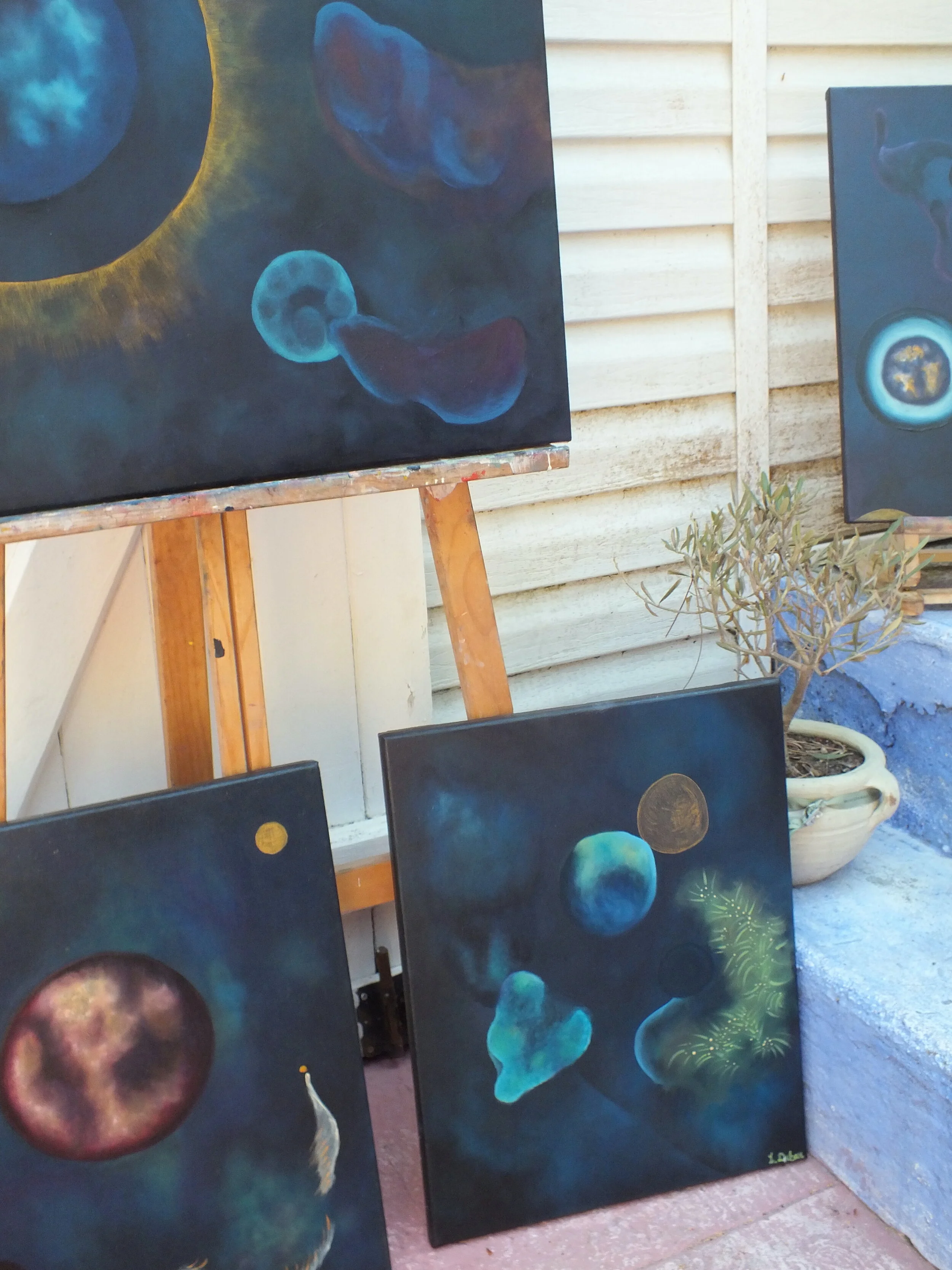 Galerie PAJARO_cosmos détail et pour INSTA.jpeg