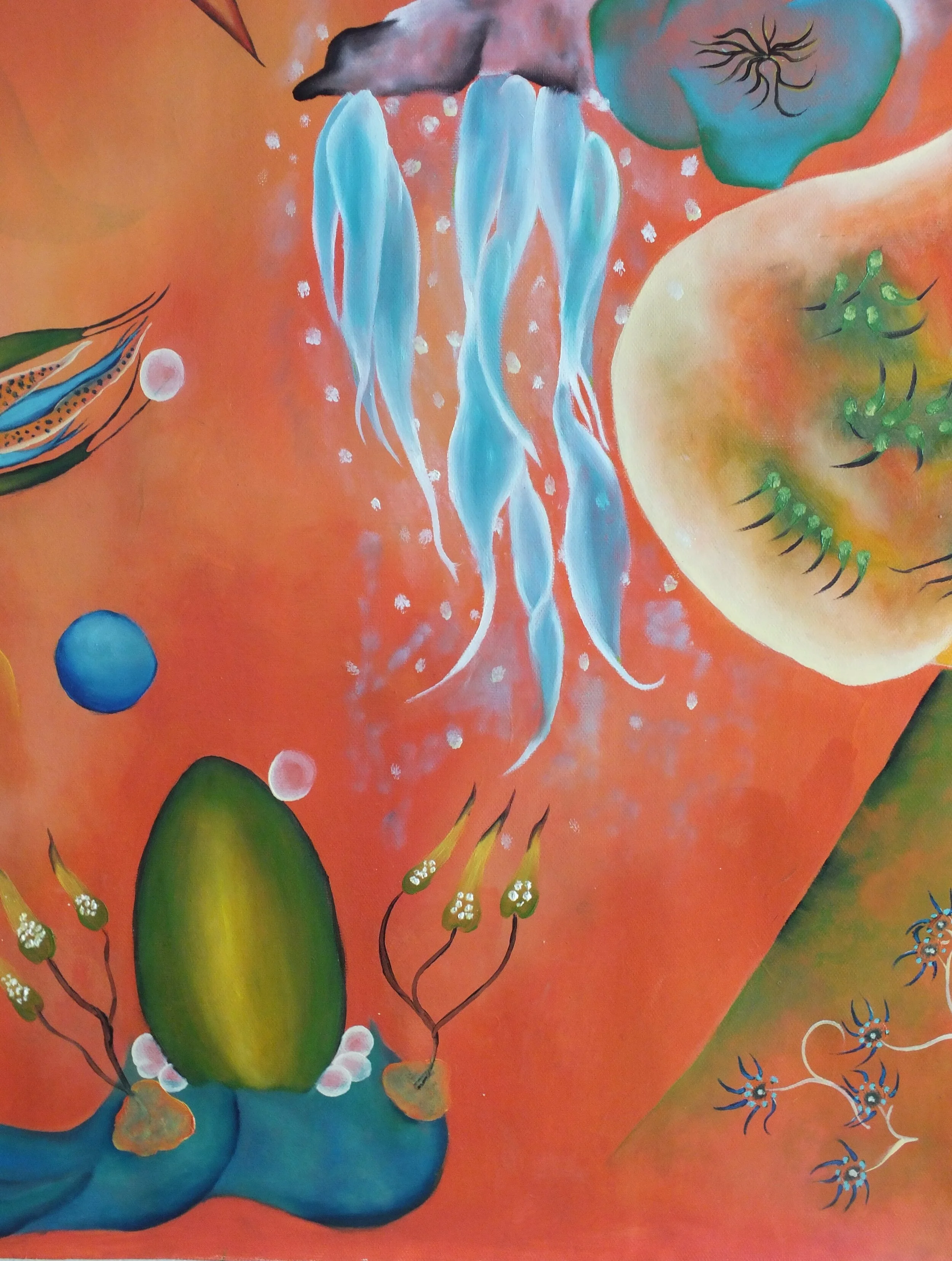 AUJOURDHUI PAJARO PARAISO REVU_2-min.JPG