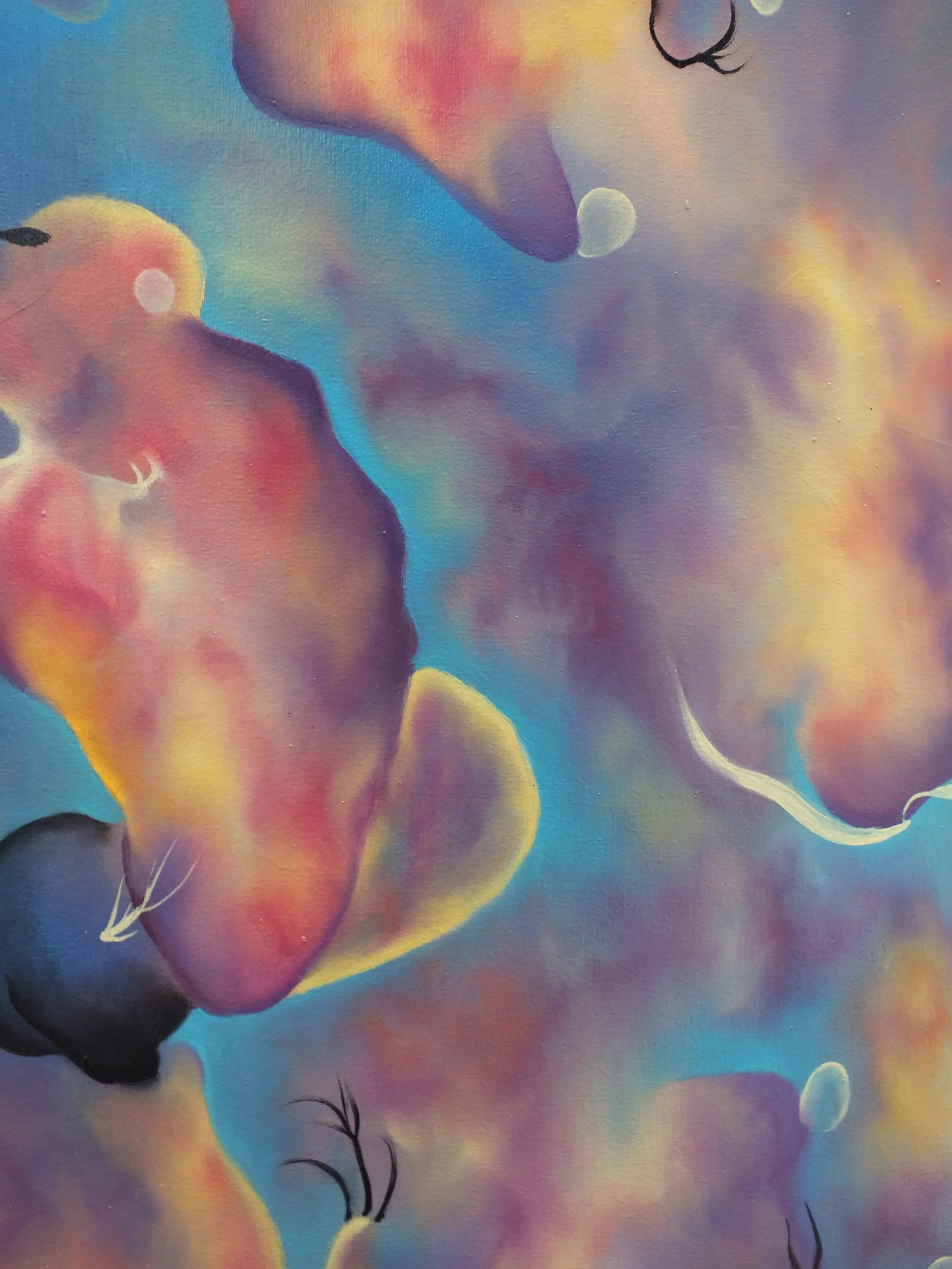 AUJOURDHUI LUXURIANCE REVU_12 détail insta++-min.JPG