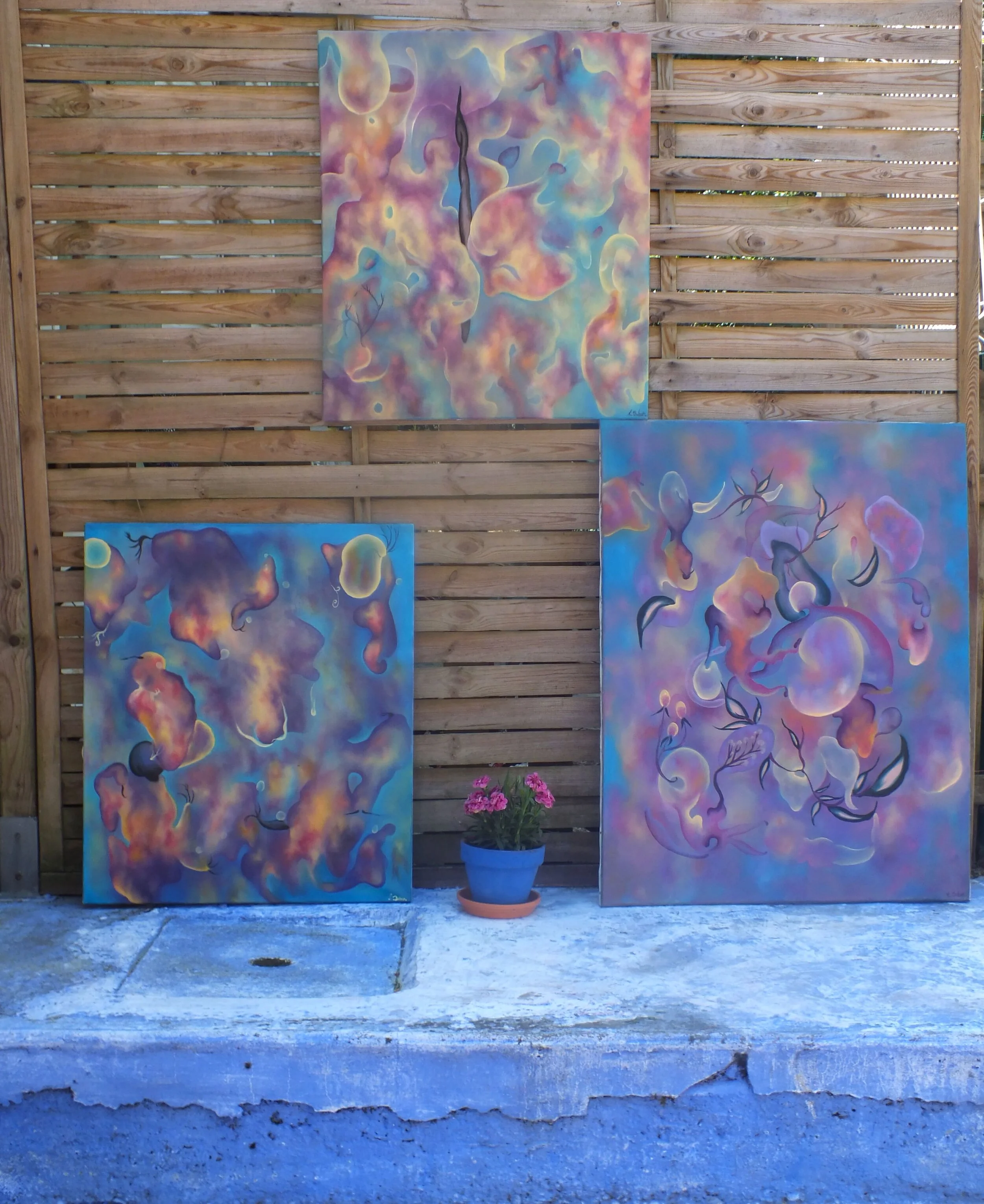 Galerie PAJARO-1-min.jpeg