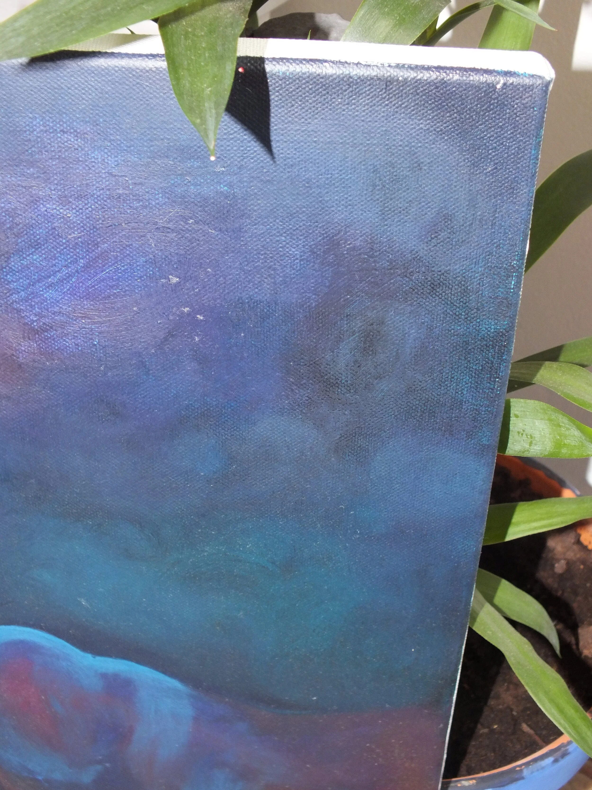 MEXX-Détail 23-min.JPG