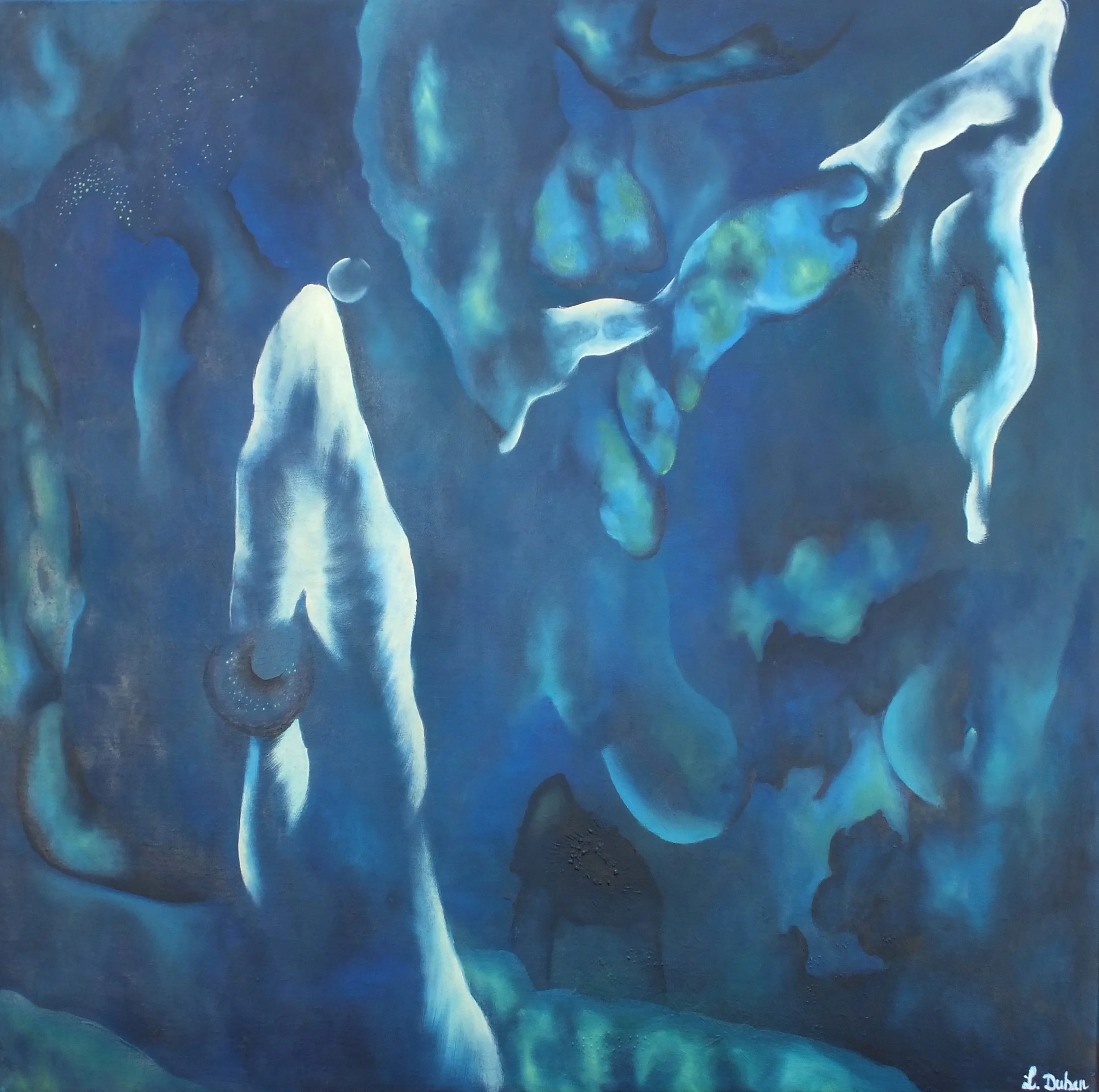 VALLEE COSMIQUE_OK.JPG