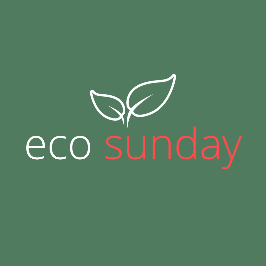 eco Sunday square (1).png