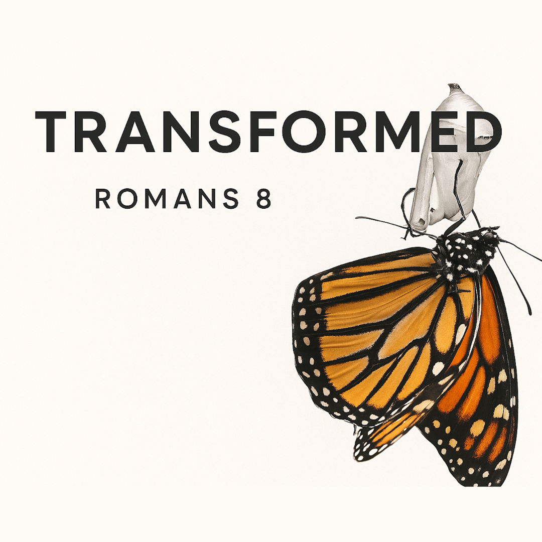 Transformed.png